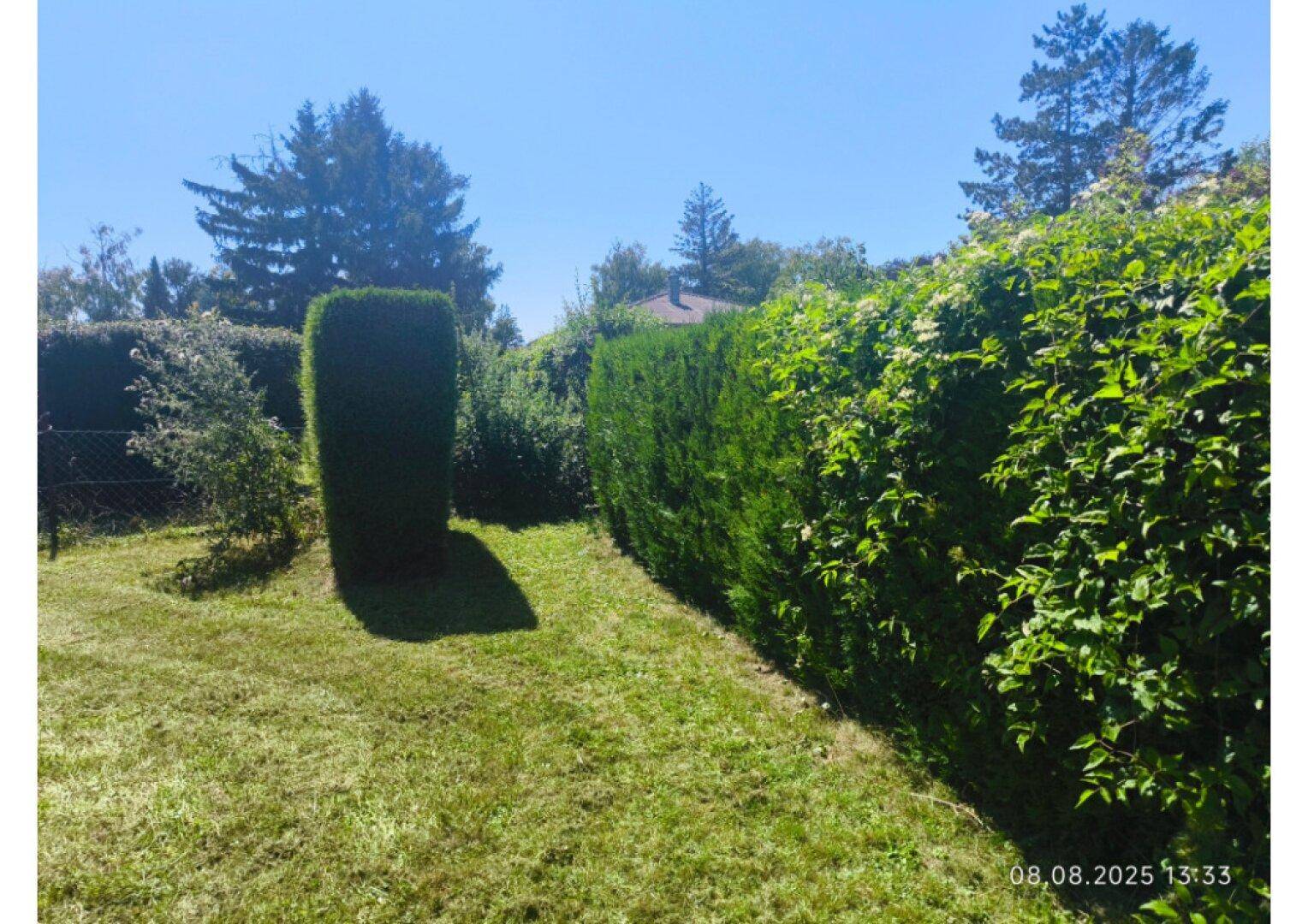 Gepflegter Garten mit Rasenfläche und hohen, dichten Hecken unter blauem Himmel.