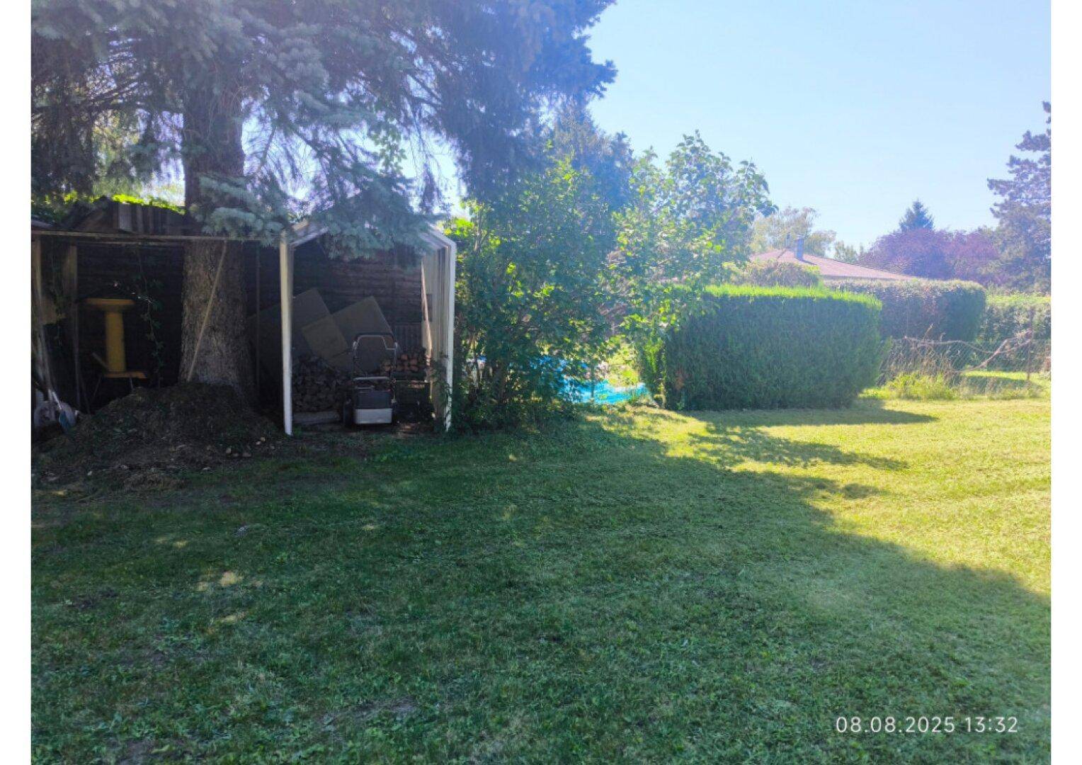 Grüner Garten mit Rasenfläche, Bäumen und einer gepflegten Hecke im Hintergrund.
