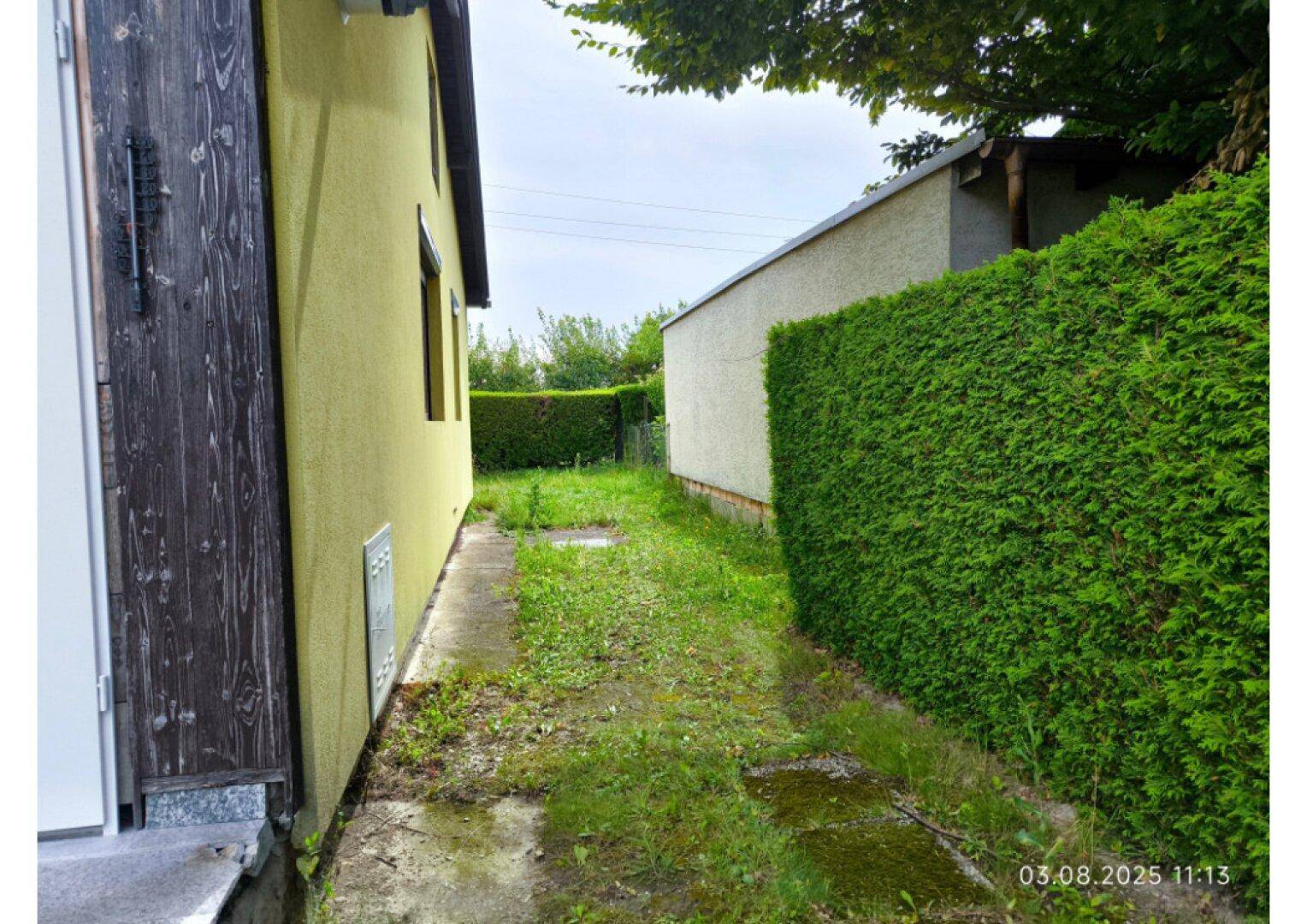 Schmaler Seitenbereich des Hauses mit Gras, einer hohen Hecke und einem Weg.