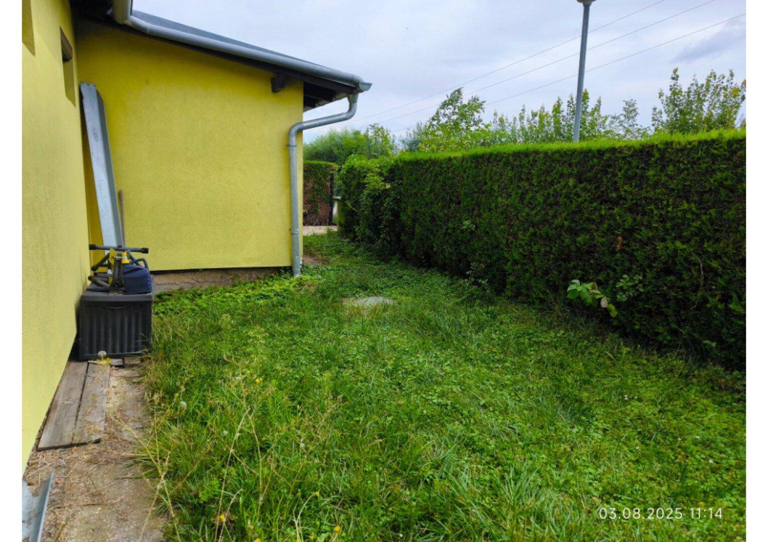 Schmaler Seitenbereich des Hauses mit Gras, einer hohen Hecke und einem Weg.