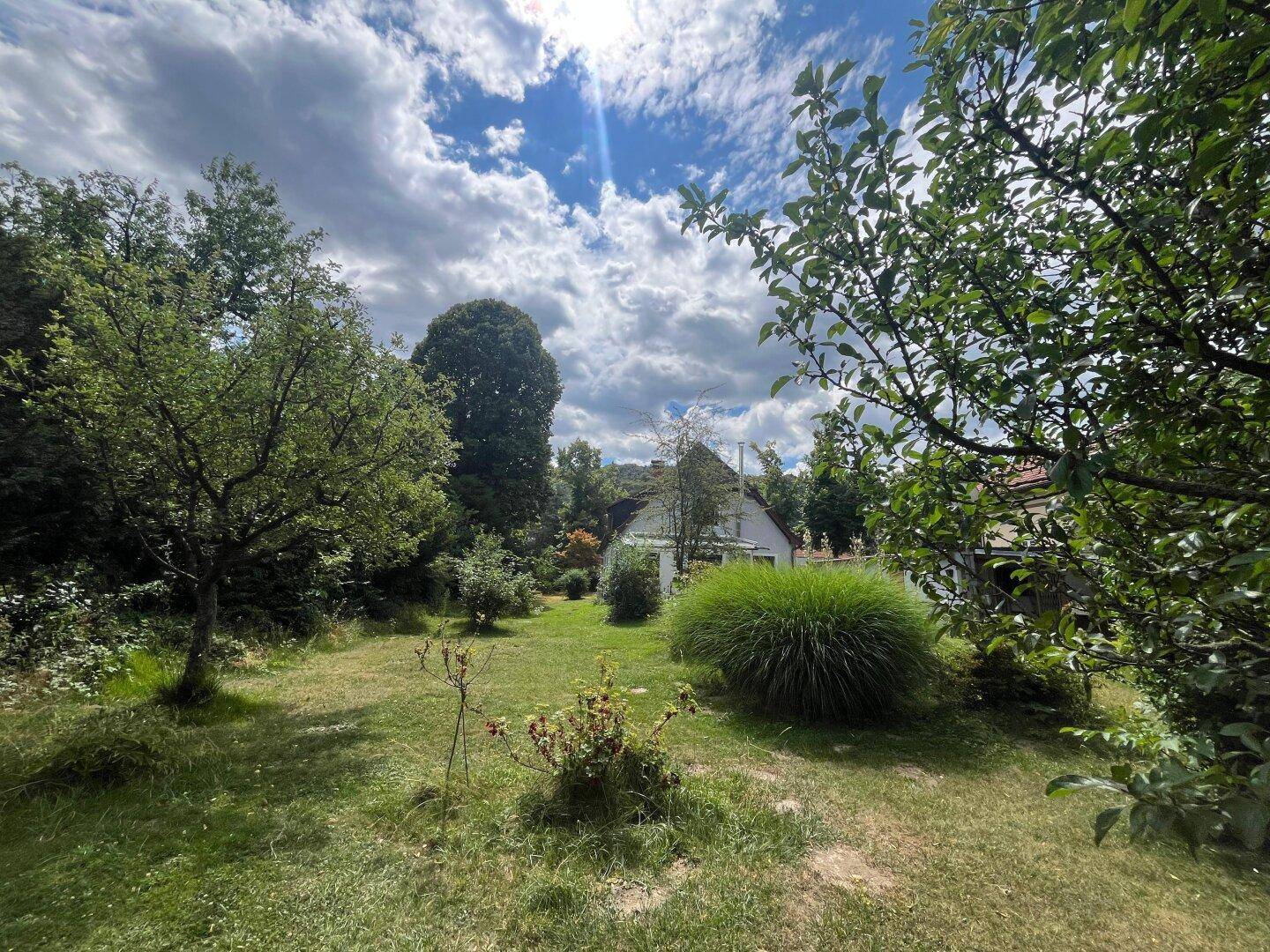 Großer, gepflegter Garten mit üppiger Vegetation und dem Haus im Hintergrund.