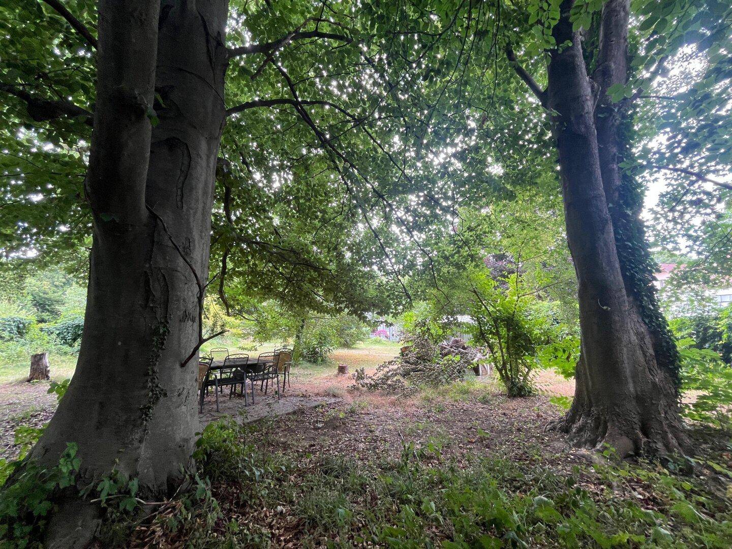 Schattiger Gartenbereich mit altem Baumbestand und einem Essplatz im Freien.