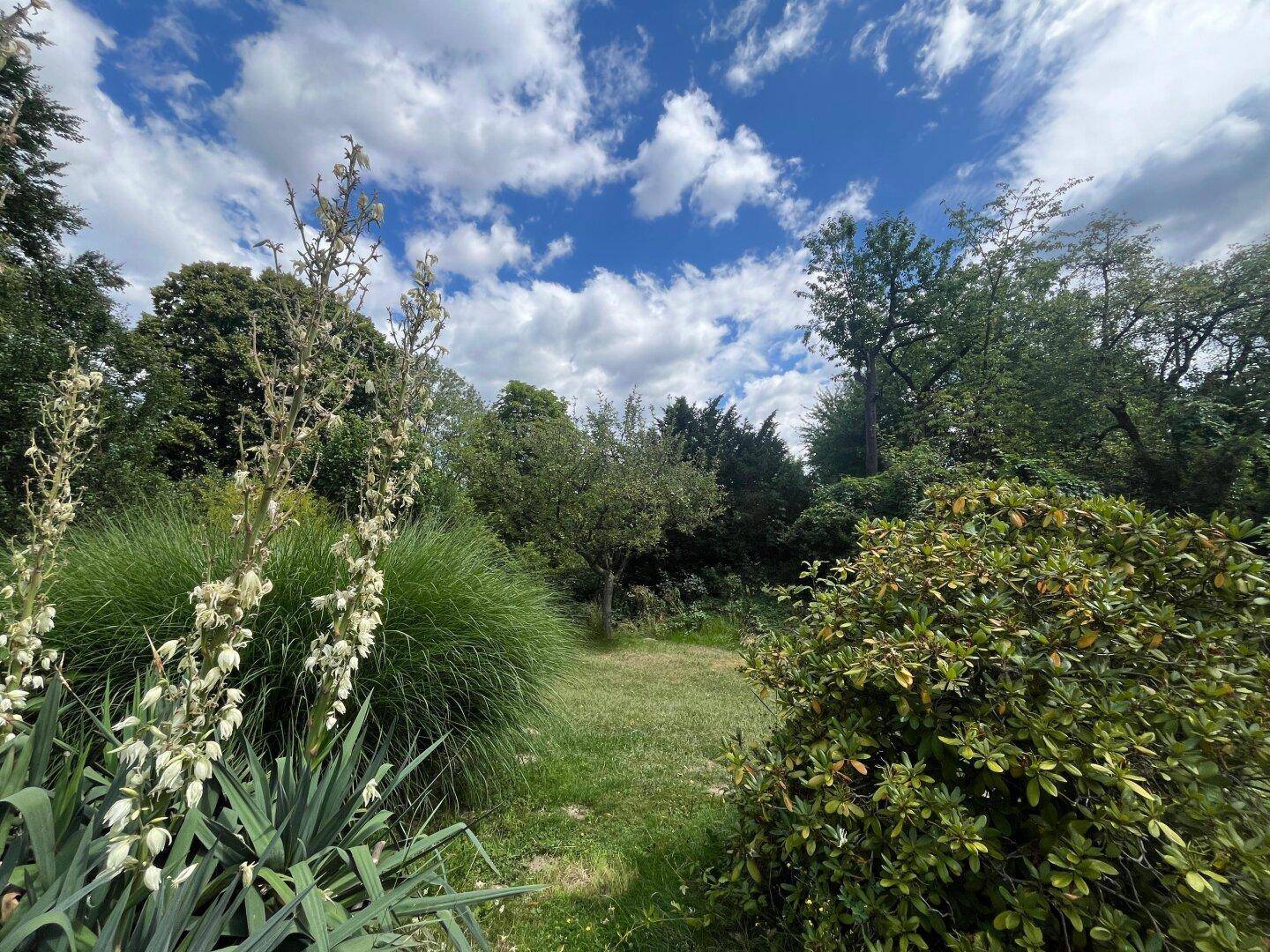 Naturbelassener Garten mit verschiedenen Pflanzen und Sträuchern unter blauem Himmel.