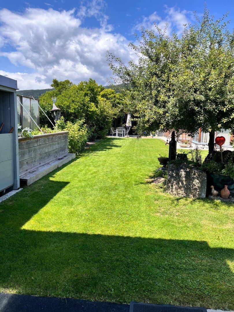 Gepflegter Rasenbereich im Garten mit schattenspendenden Bäumen und Sträuchern.