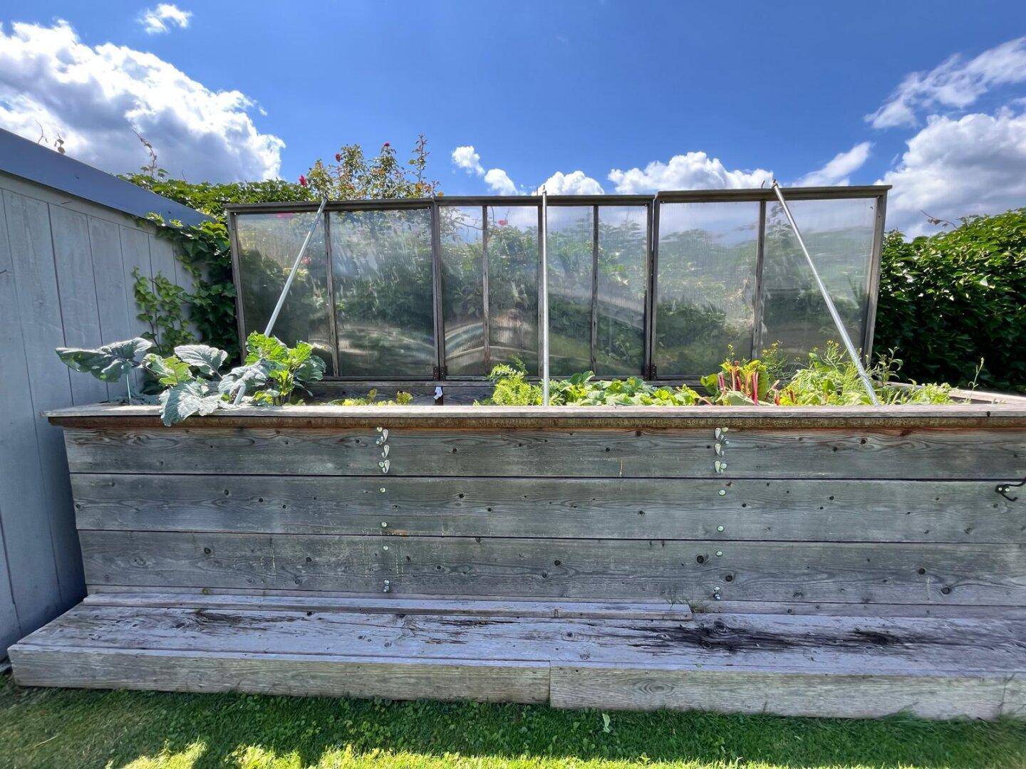 Hochbeet im Garten mit Gewächshausabdeckung für den Anbau von Gemüse und Kräutern.