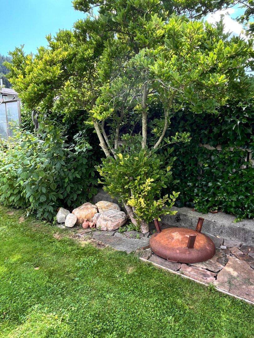 Gemütliche Feuerstelle im Garten, umgeben von Sträuchern und Steinen, ideal für Abende im Freien.