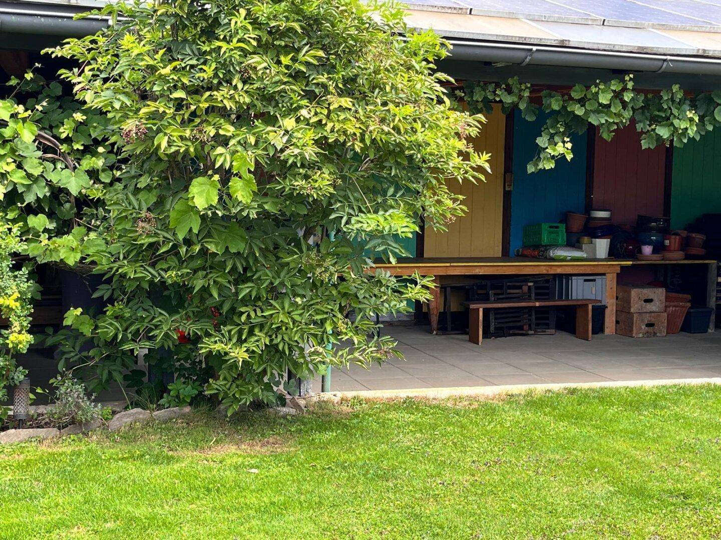 Grüner Gartenbereich mit Rasen und einem überdachten Bereich mit bunten Wandpaneelen.