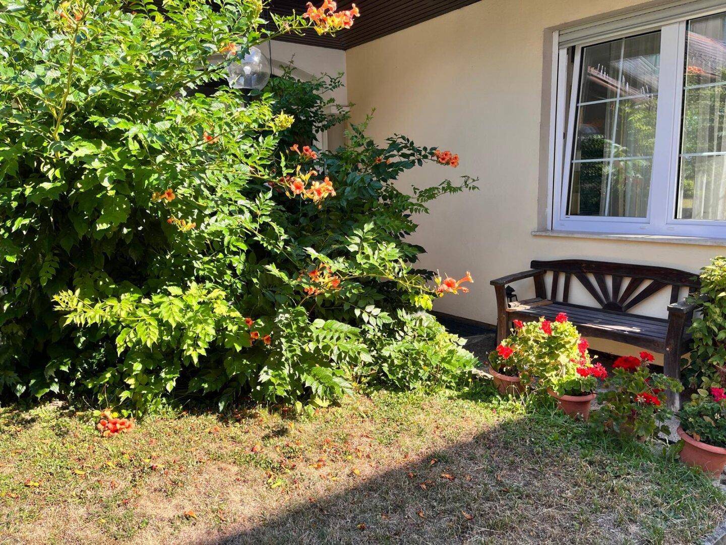 Gemütlicher Gartenbereich mit Sitzbank, blühenden Sträuchern und Rasenfläche.