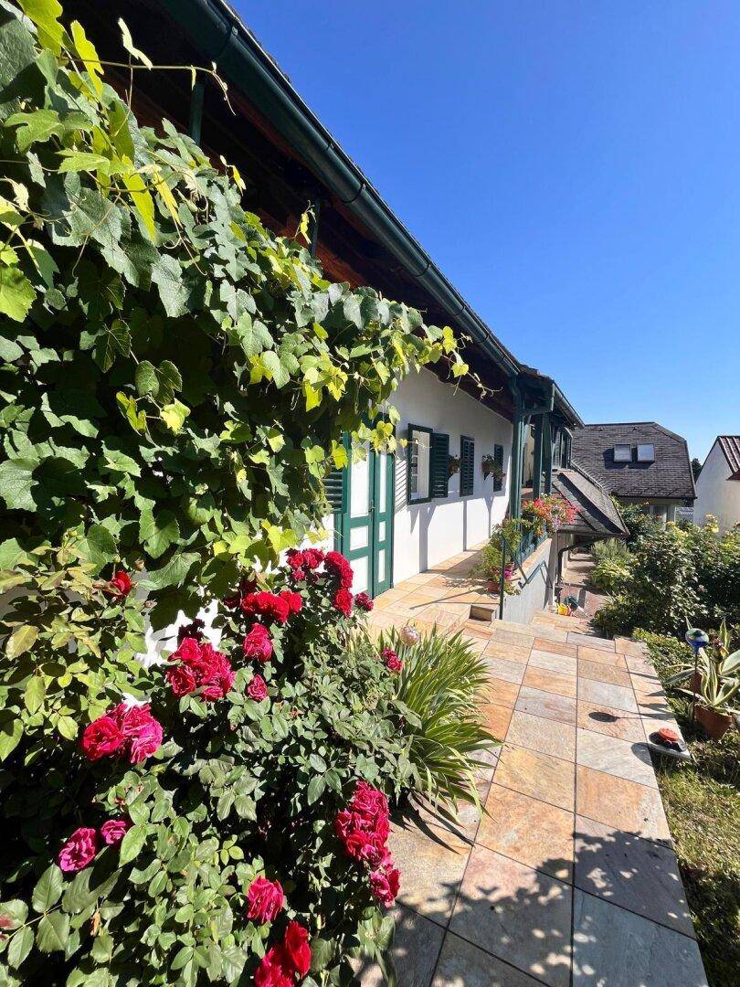 Hausansicht mit üppigem Weinbewuchs, roten Rosen und einem sonnigen Außenbereich.