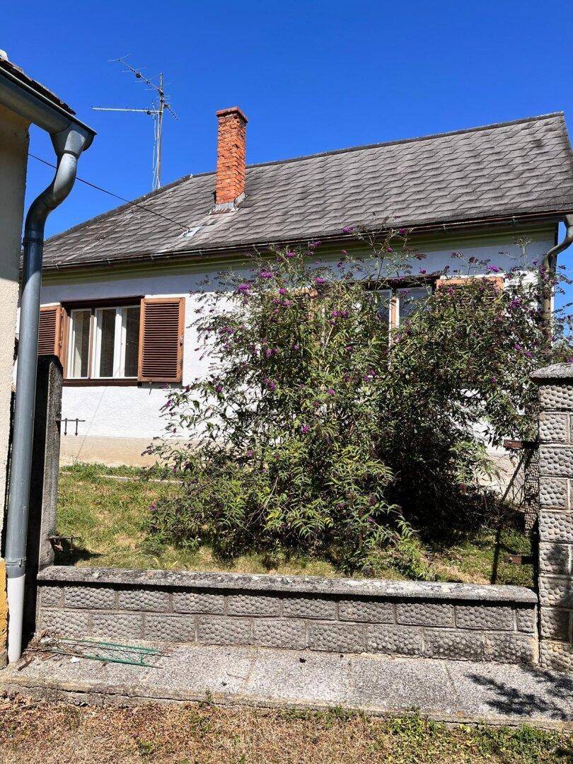 Vorderseite des Hauses mit gepflegtem Gartenbereich, blühenden Sträuchern und Schornstein.