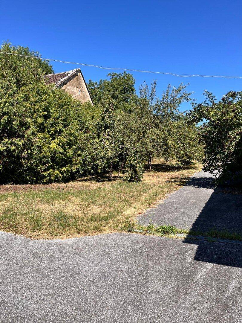 Sonniger Gartenbereich mit einem Pfad, Obstbäumen und natürlicher Vegetation.