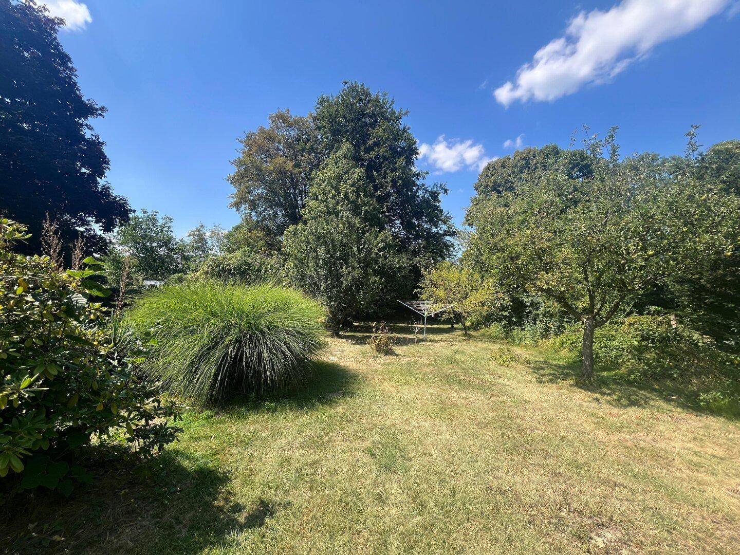 Sonniger Gartenbereich mit Rasenfläche, Ziergräsern und verschiedenen Sträuchern.