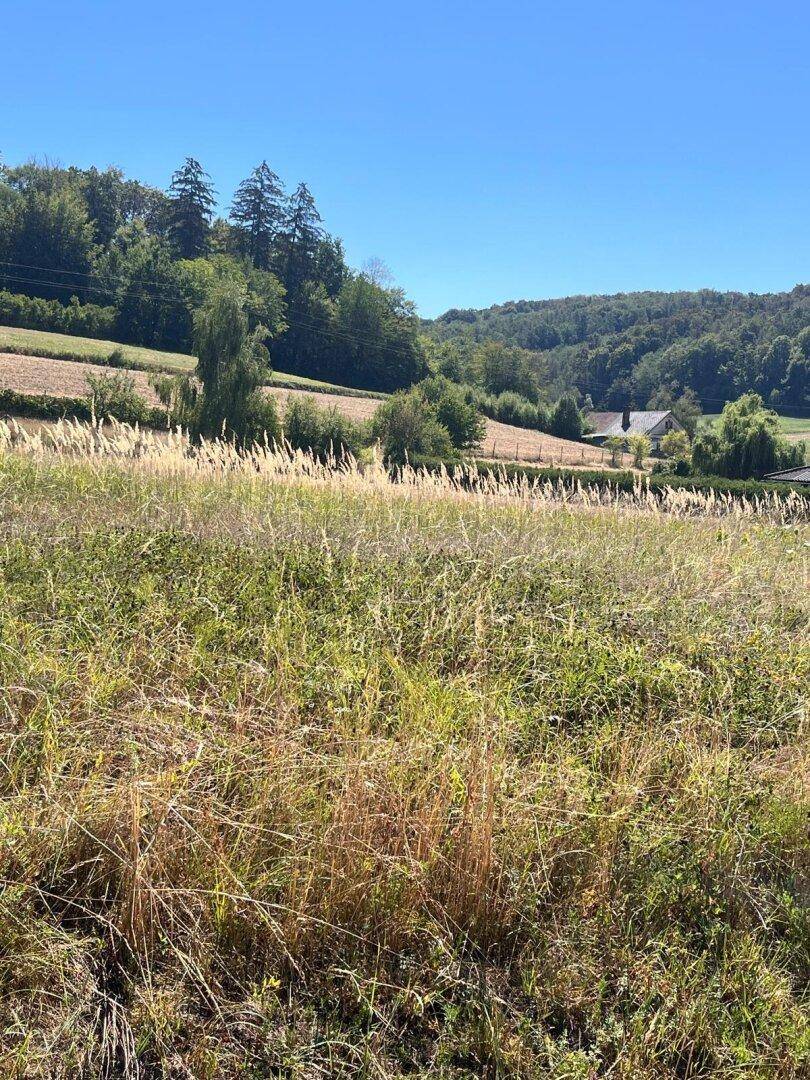 Ländliche Landschaft mit weiten Feldern und bewaldeten Hügeln unter blauem Himmel.
