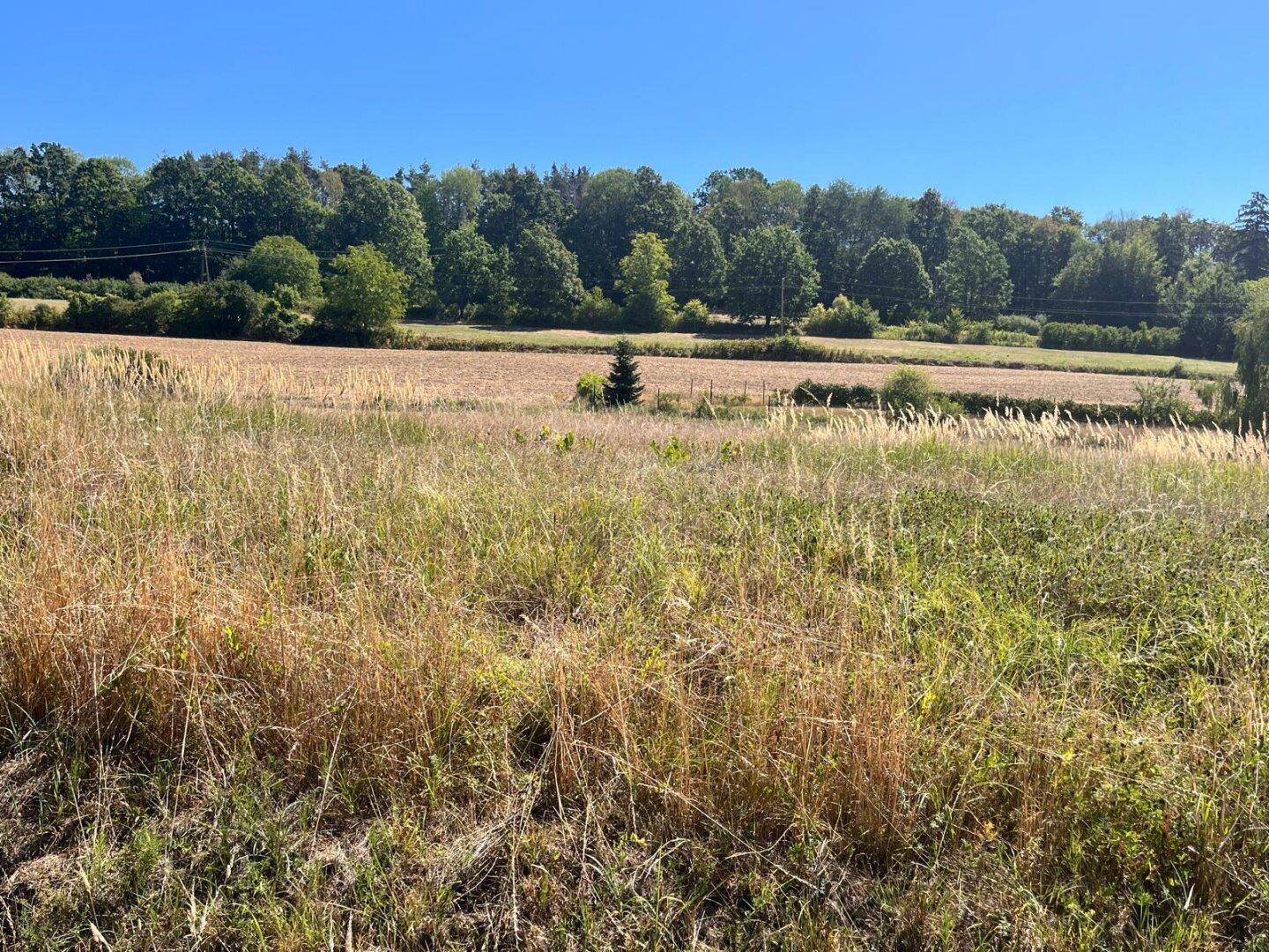 Malerische Landschaft mit weiten Feldern, dichten Wäldern und einem sonnigen Tag.