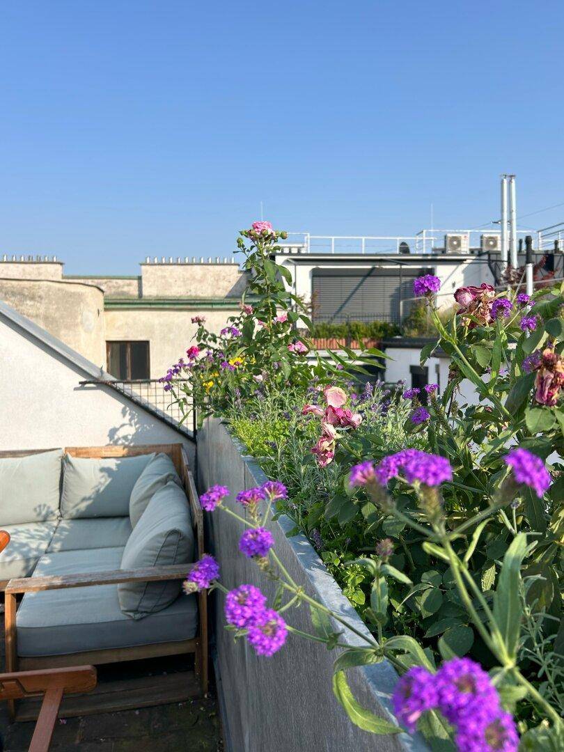 bewohnte Dachterrasse