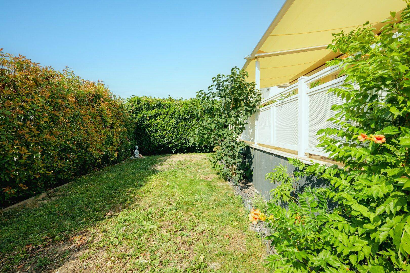Grüner Gartenbereich mit gepflegtem Rasen und hohen Hecken für Privatsphäre und Erholung.