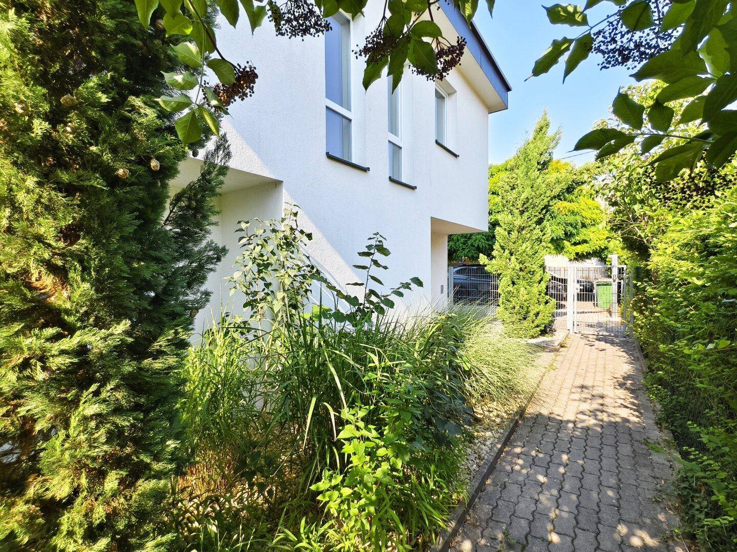 Seitlicher Gartenbereich mit üppiger Bepflanzung und gepflastertem Zugang zum Haus.