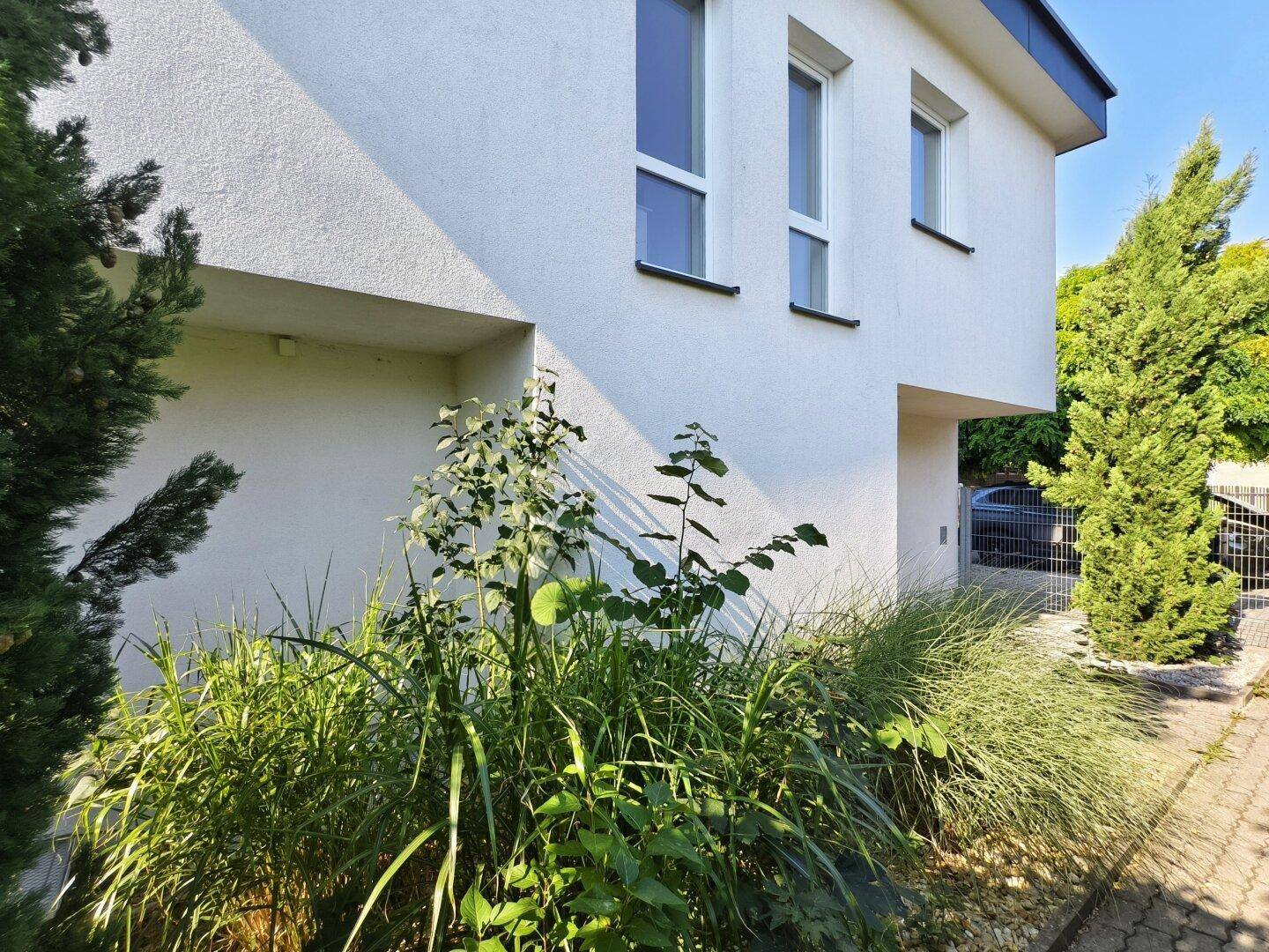 Gepflegter Gartenweg entlang der modernen Hausfassade mit grüner Bepflanzung.