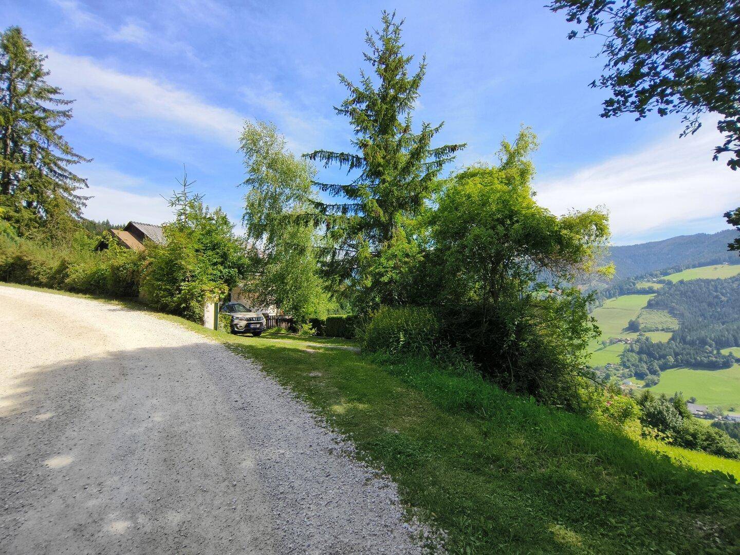Schotterauffahrt zum Anwesen, umgeben von Bäumen und grünen Hängen mit Bergblick.