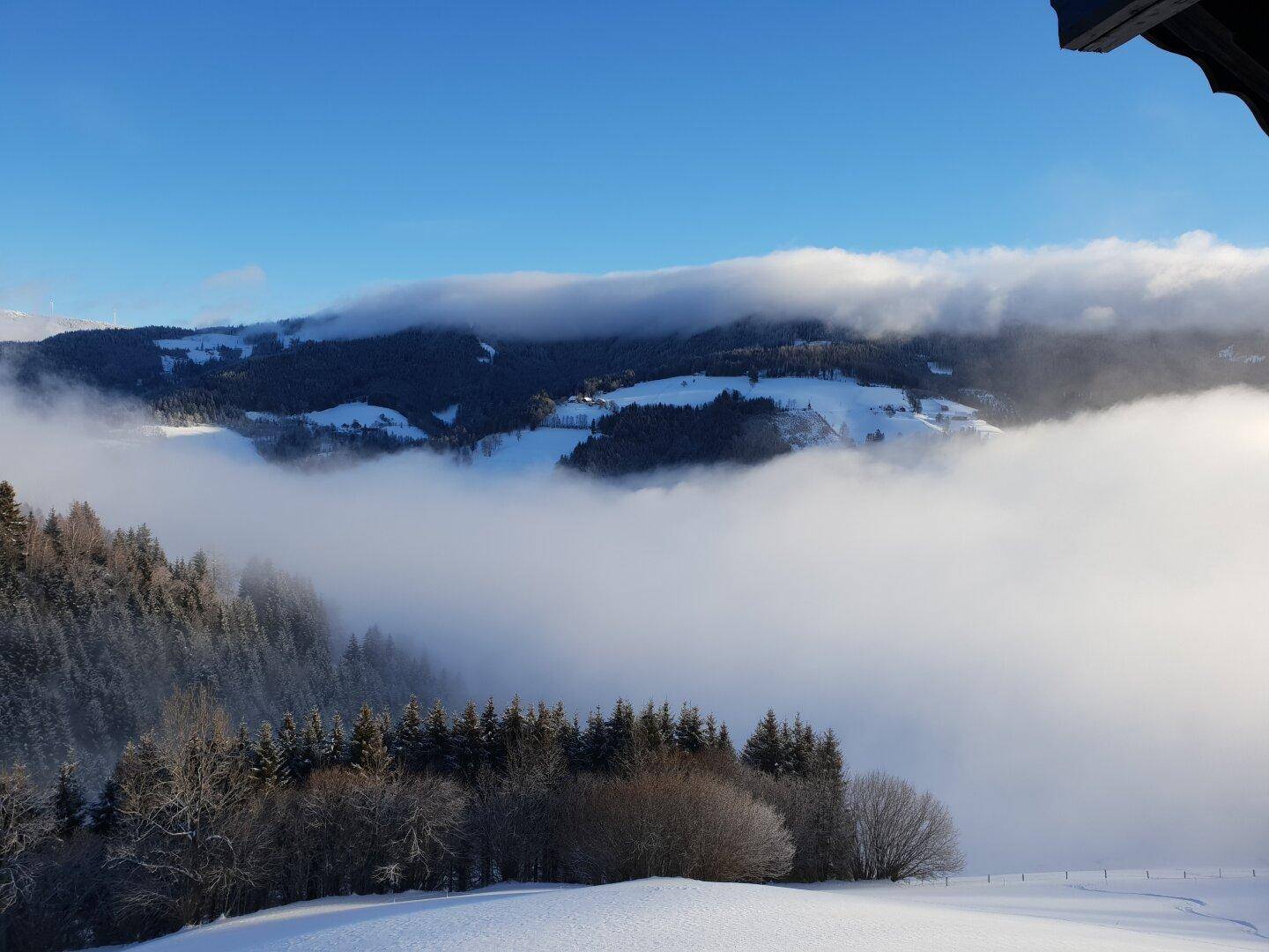 Malerische Winterlandschaft mit schneebedeckten Hügeln, Wäldern und einer Nebeldecke.