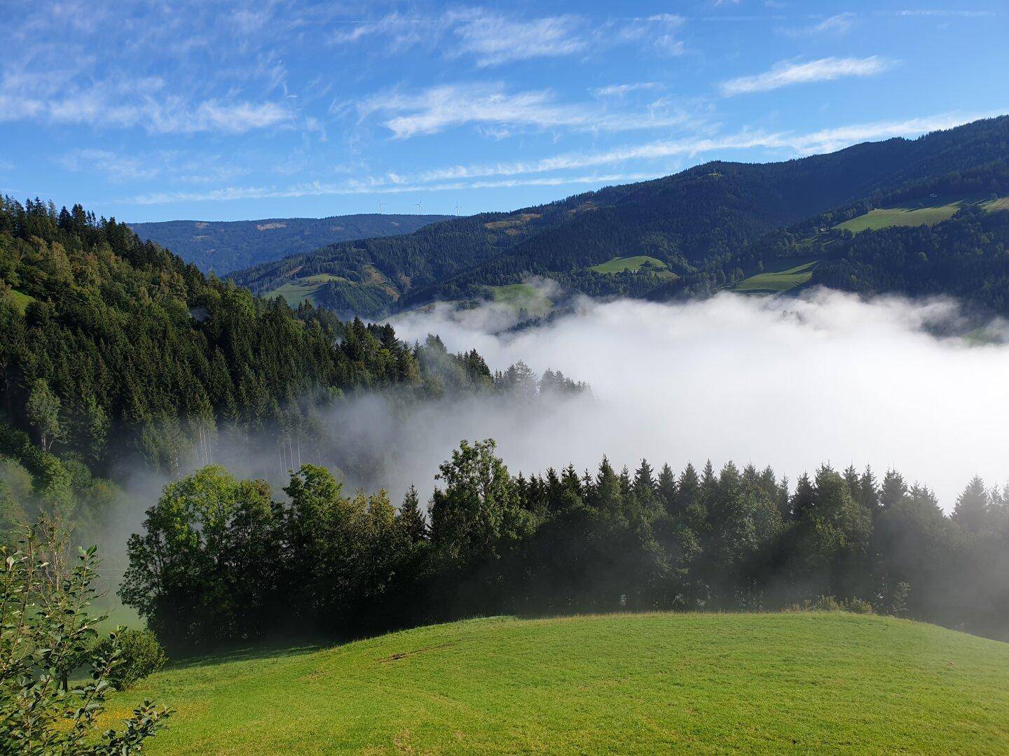 Grüne Hügellandschaft mit dichten Wäldern und mystischem Nebel im Tal unter blauem Himmel.