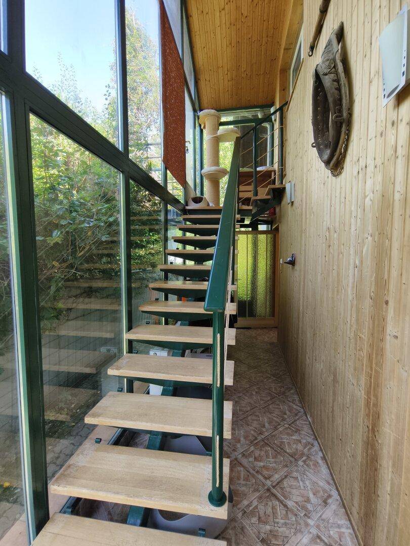 Heller Treppenaufgang mit Holzstufen, Glasgeländer und großen Fenstern.