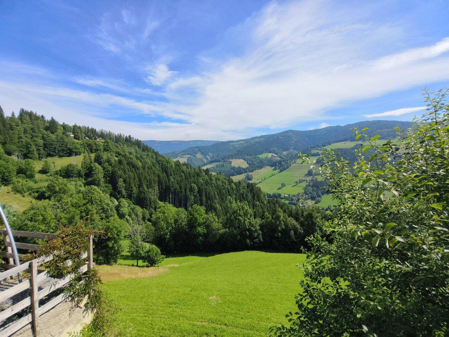 Weitblick auf grüne Hügel und dichte Wälder von einer erhöhten Position aus.