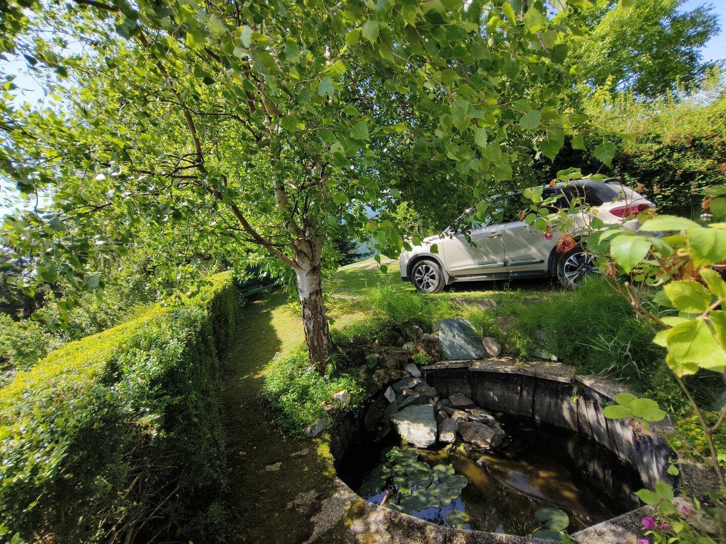 Kleiner Teich oder Wasserbecken im Gartenbereich, umgeben von üppigem Grün und Bäumen.