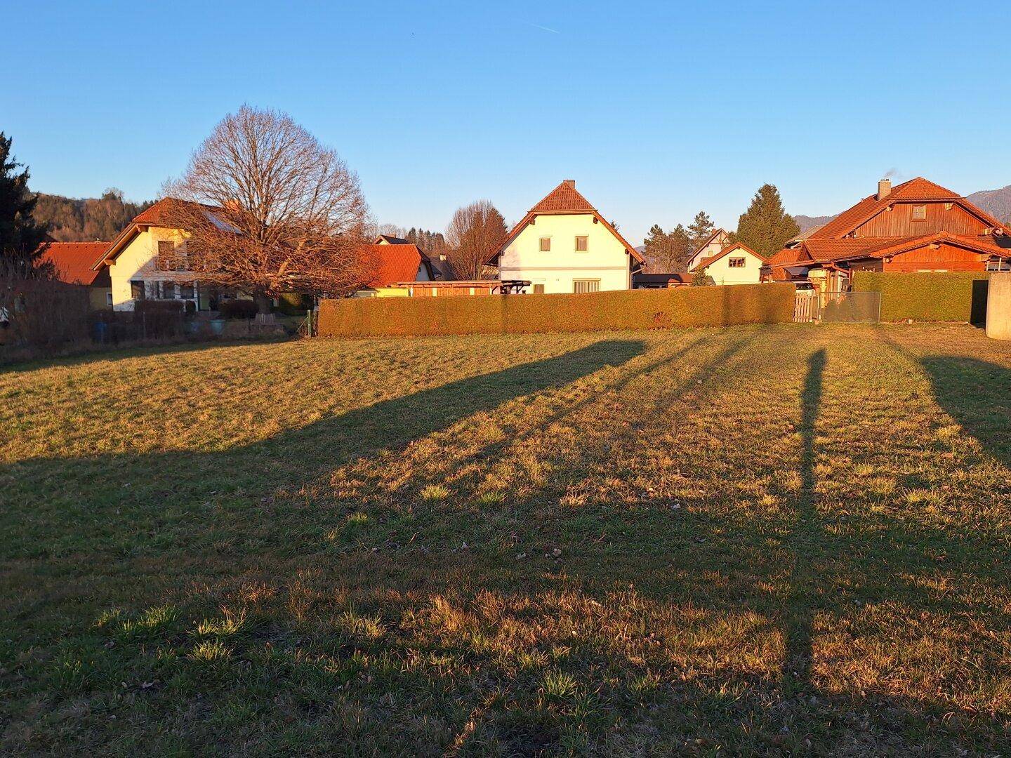 Sonniges Baugrundstück mit grüner Hecke und Wohnhäusern im Hintergrund, umgeben von Natur.