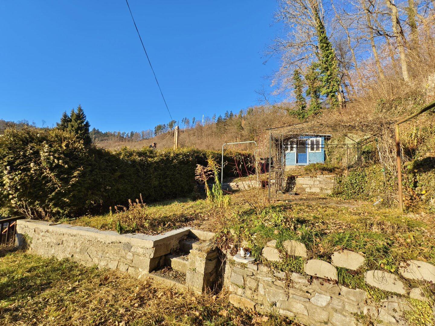 Gartenbereich mit einer kleinen blauen Hütte, einer Steinmauer und viel Grün.