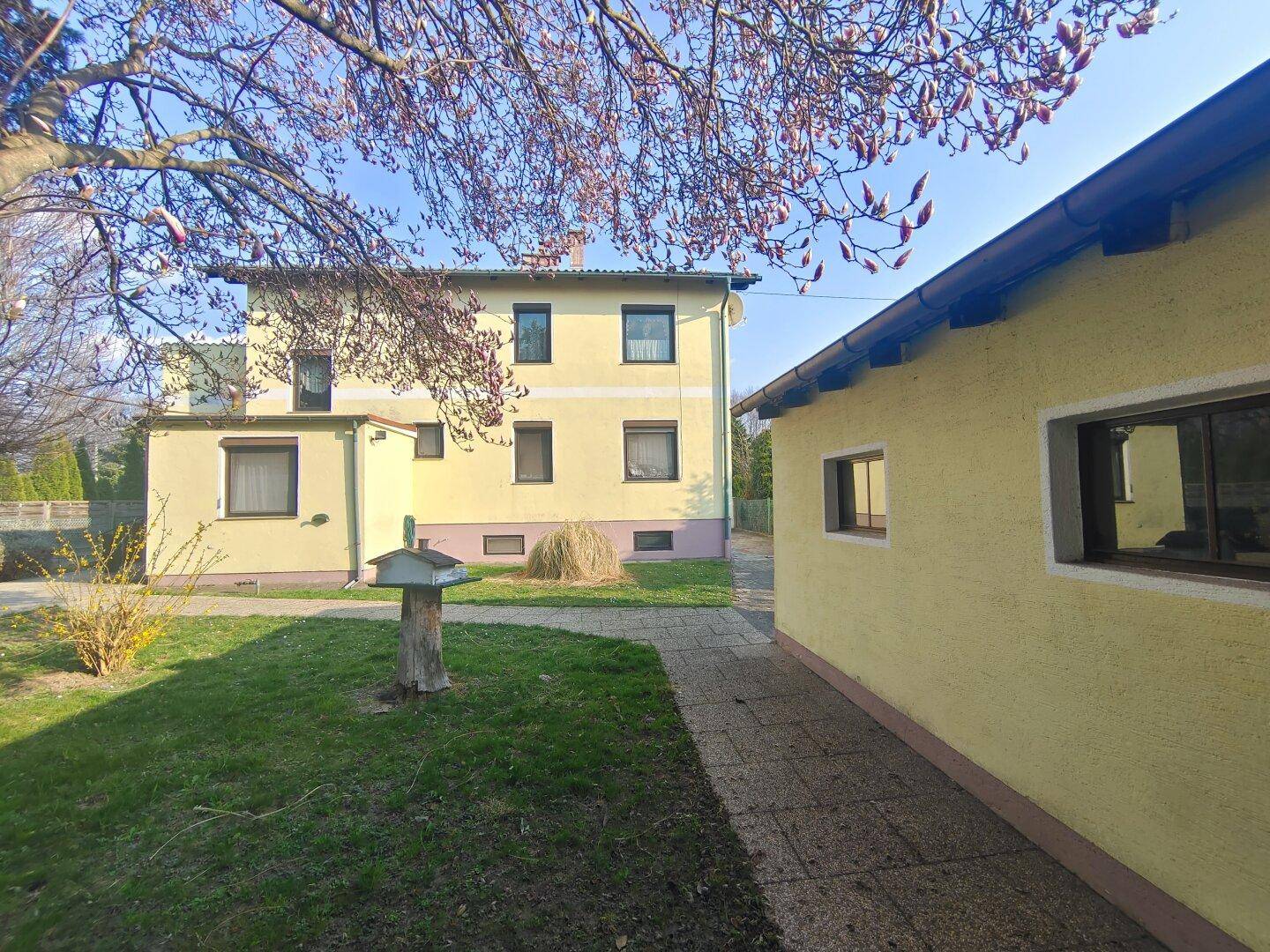 Blick auf das Wohnhaus vom Garten aus mit Rasenfläche und einem Nebengebäude im Vordergrund.