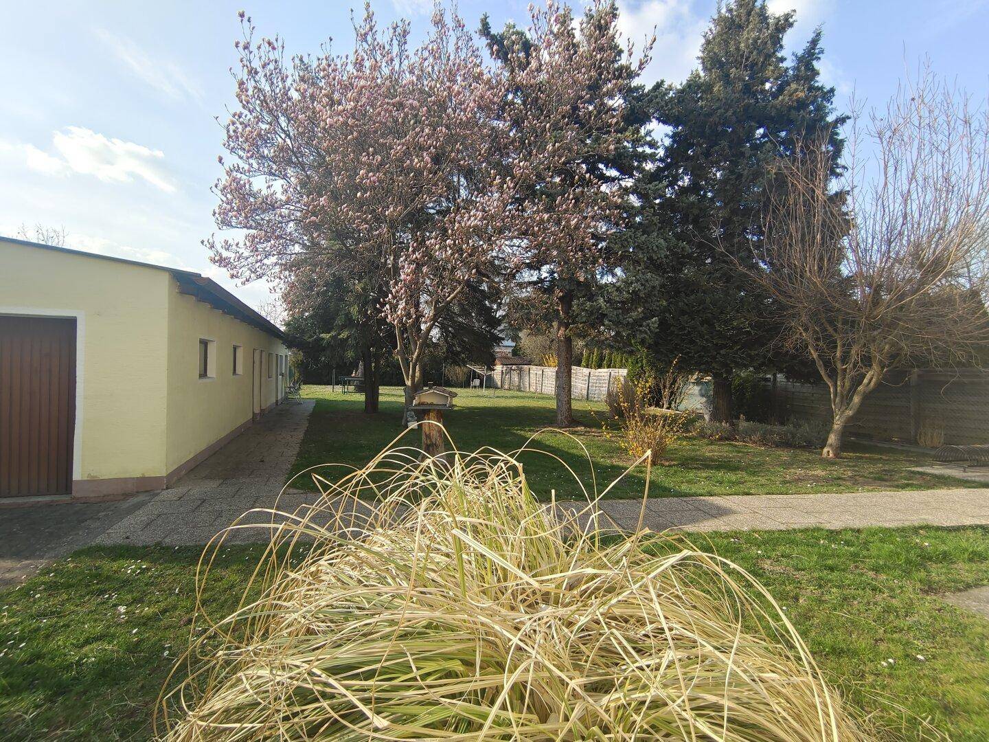 Gartenbereich mit hohen Bäumen, Rasenfläche und einem Nebengebäude im Hintergrund.