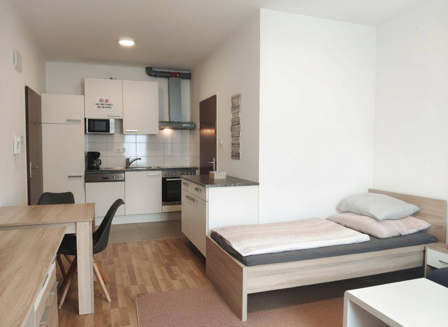 Kompaktes Studio-Apartment mit Küchenzeile, Essbereich und Schlafgelegenheit.