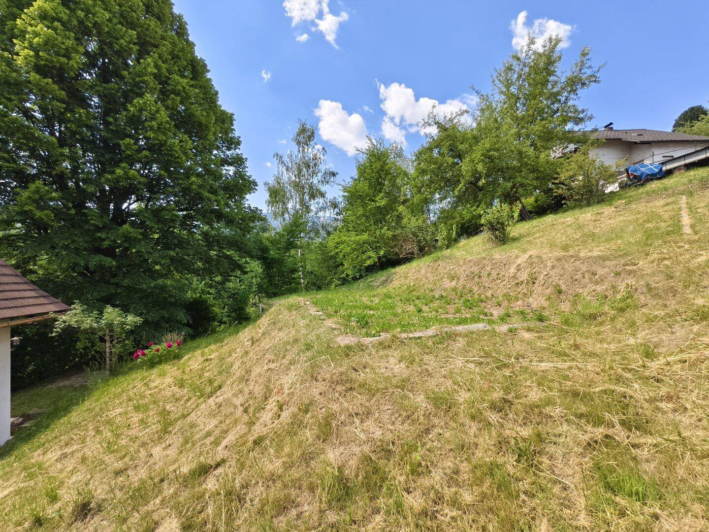 Hanglage des Gartens mit Gras und Bäumen, umgeben von Natur.