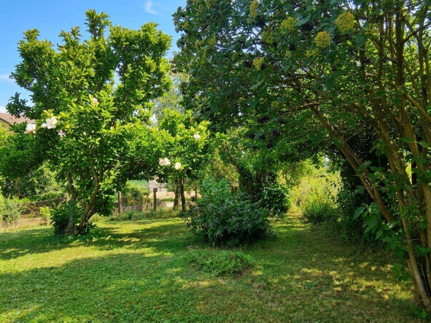 Üppiger grüner Gartenbereich mit alten Bäumen und viel Sonnenlicht, ideal zum Entspannen.