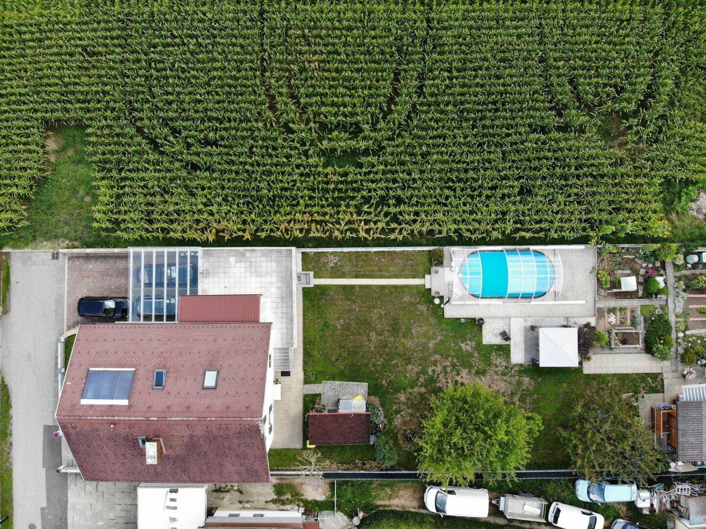 Vogelperspektive des Anwesens mit Wohnhaus, Carport, Pool und gepflegtem Garten, umgeben von Feldern.