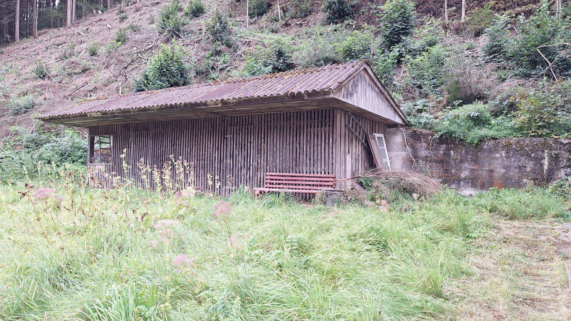 Rustikales Holzgebäude mit Wellblechdach am Waldrand, umgeben von hoher Wiese.