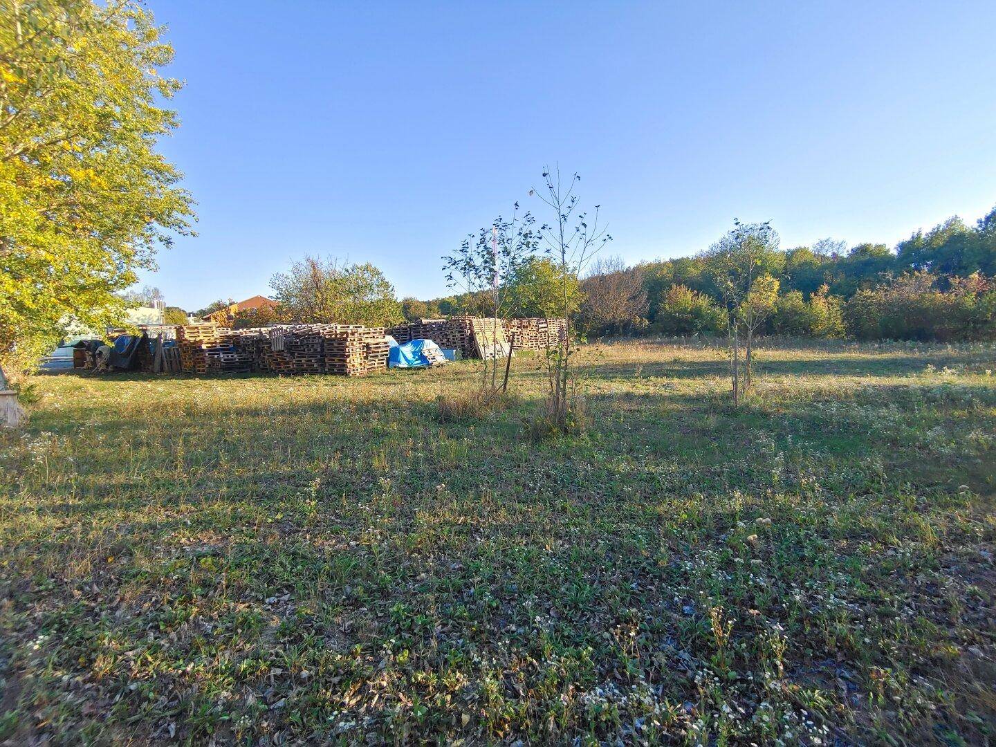 Blick über das weitläufige, grüne Grundstück mit gestapelten Paletten im Hintergrund unter blauem Himmel.
