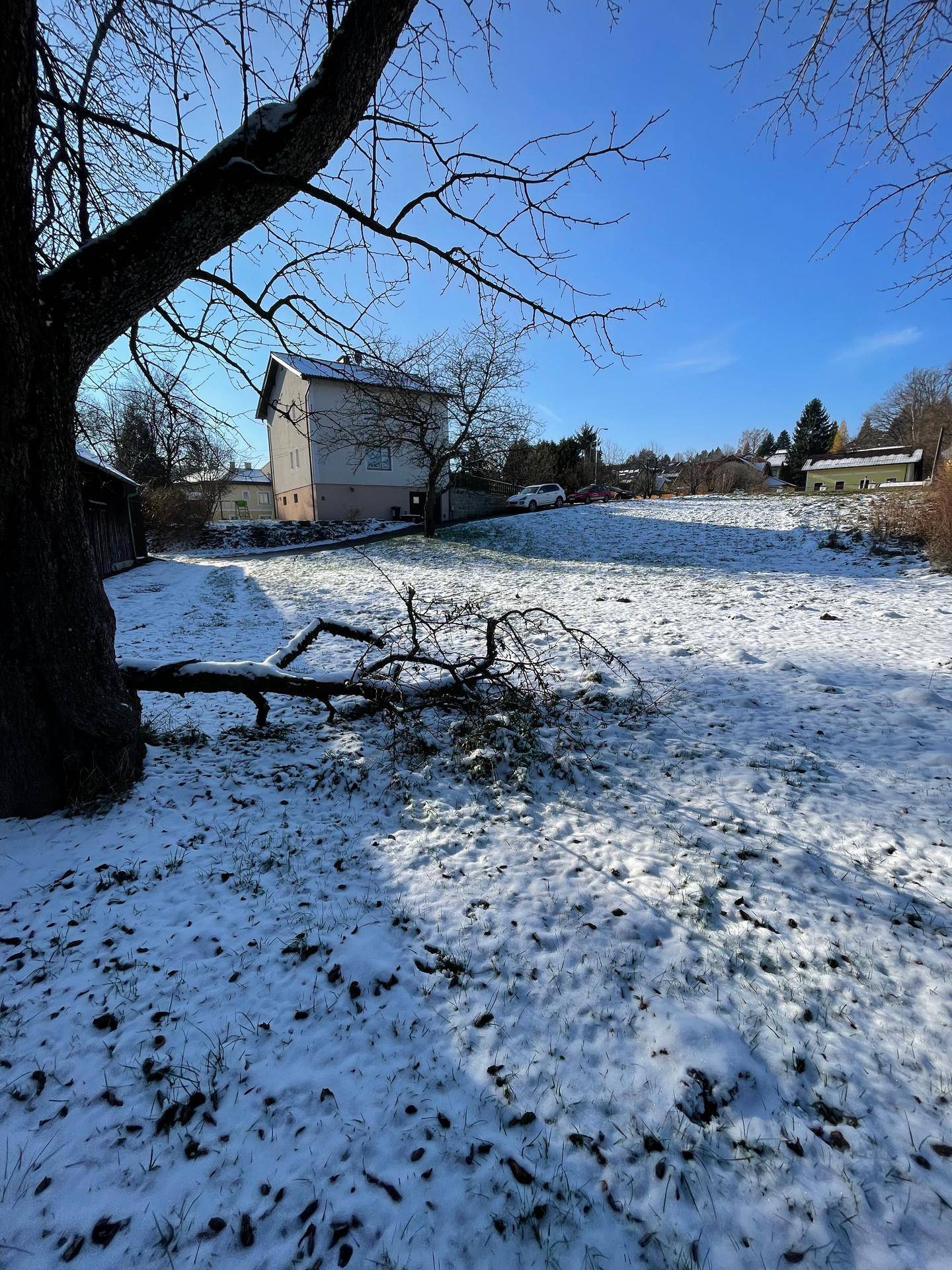 Schneebedeckter Garten mit einem großen Baum, einem gefallenen Ast und einem Haus im Hintergrund.