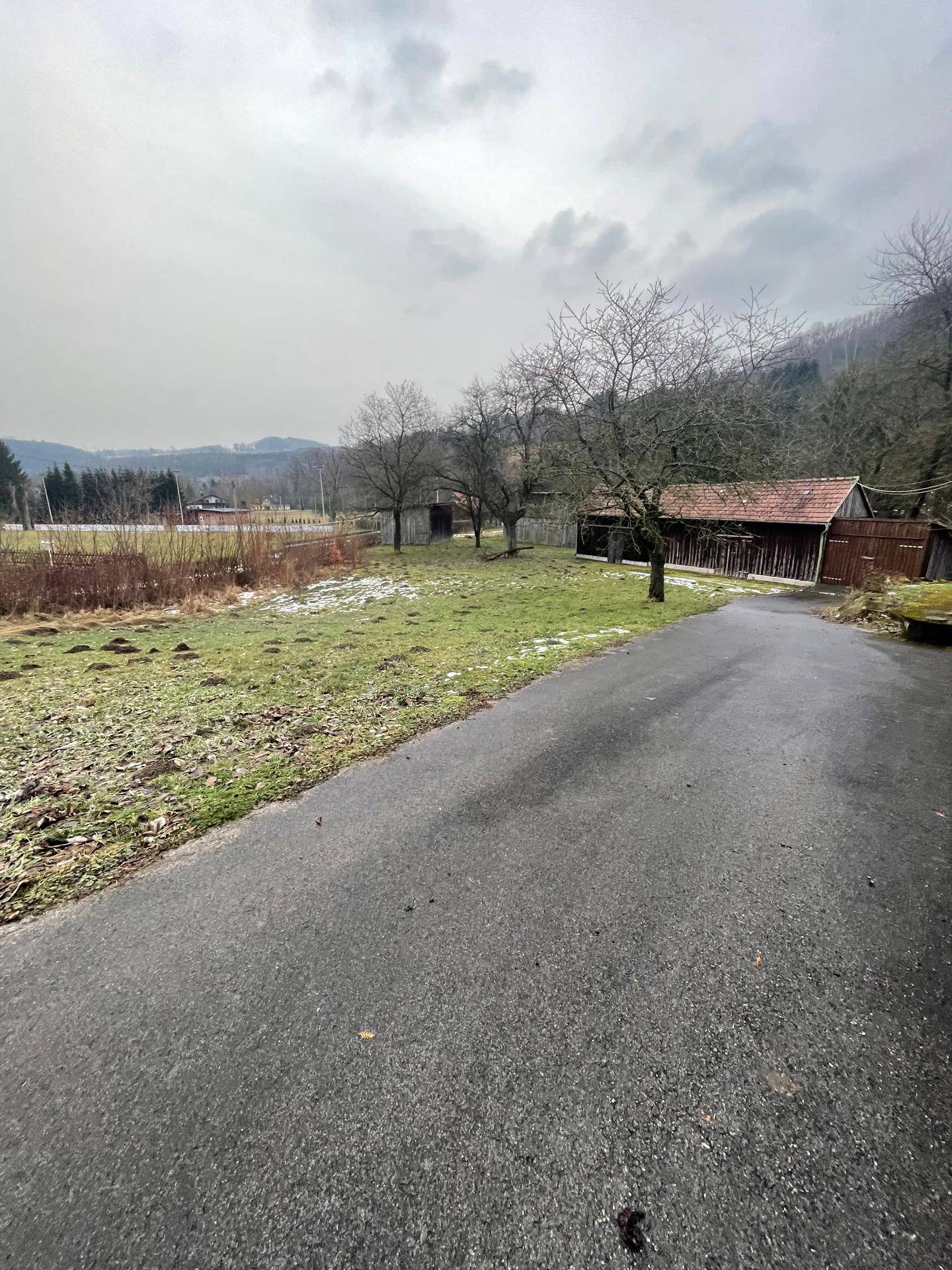 Grüne Wiese mit Herbstlaub und einem asphaltierten Weg, umgeben von Bäumen und ländlicher Umgebung.