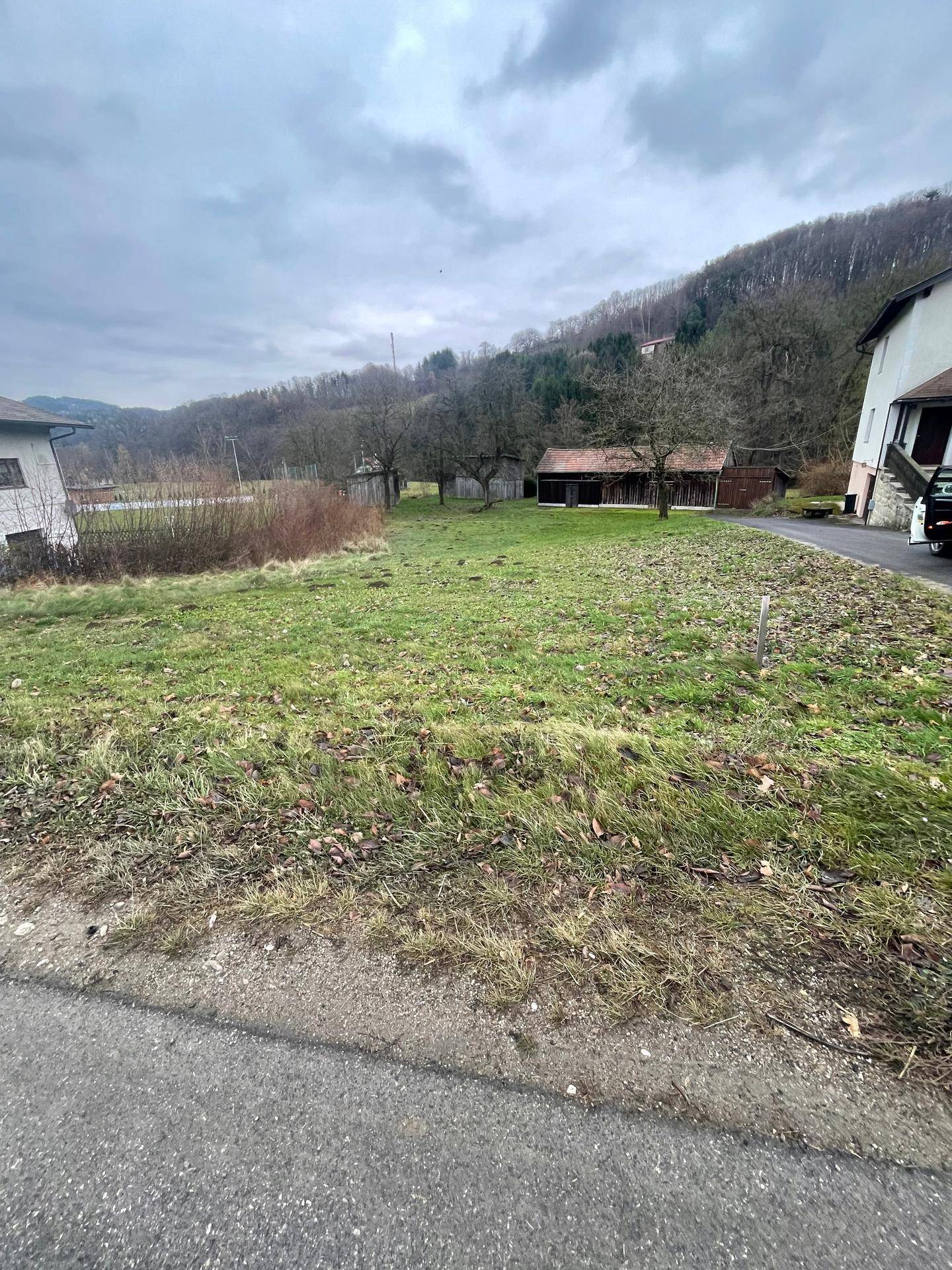Grüne Wiese mit Herbstlaub und einem Wohnhaus sowie Bäumen im Hintergrund unter bewölktem Himmel.