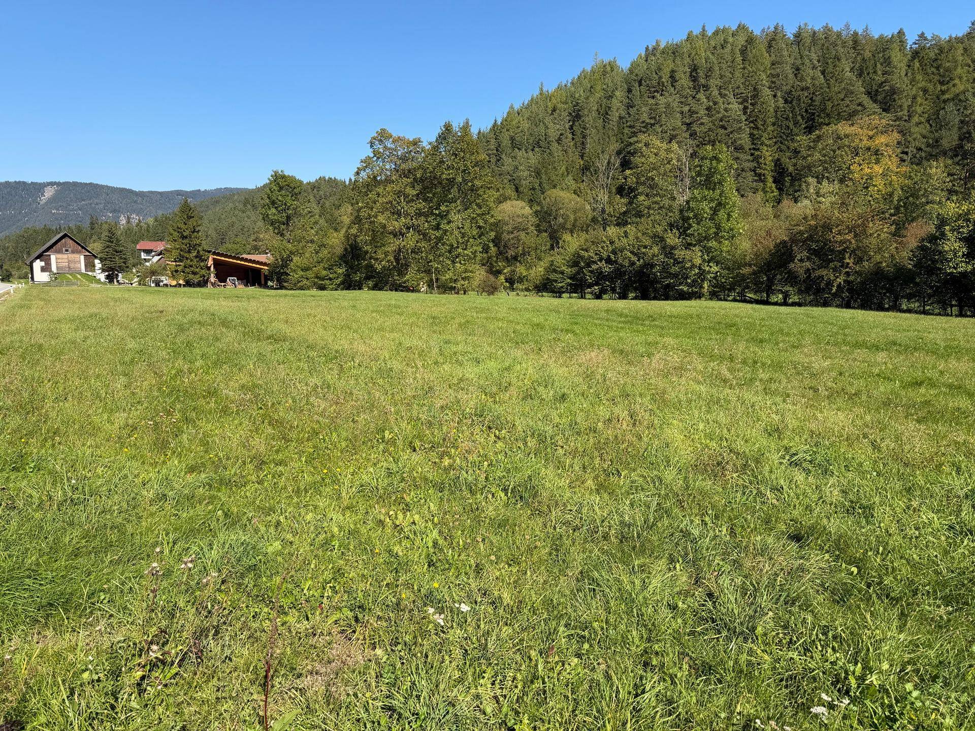 Ein Paradies für Pferde- &amp; Naturliebhaber - Über 1,2 Hektar Grünland in Kernhof - Ansicht 4