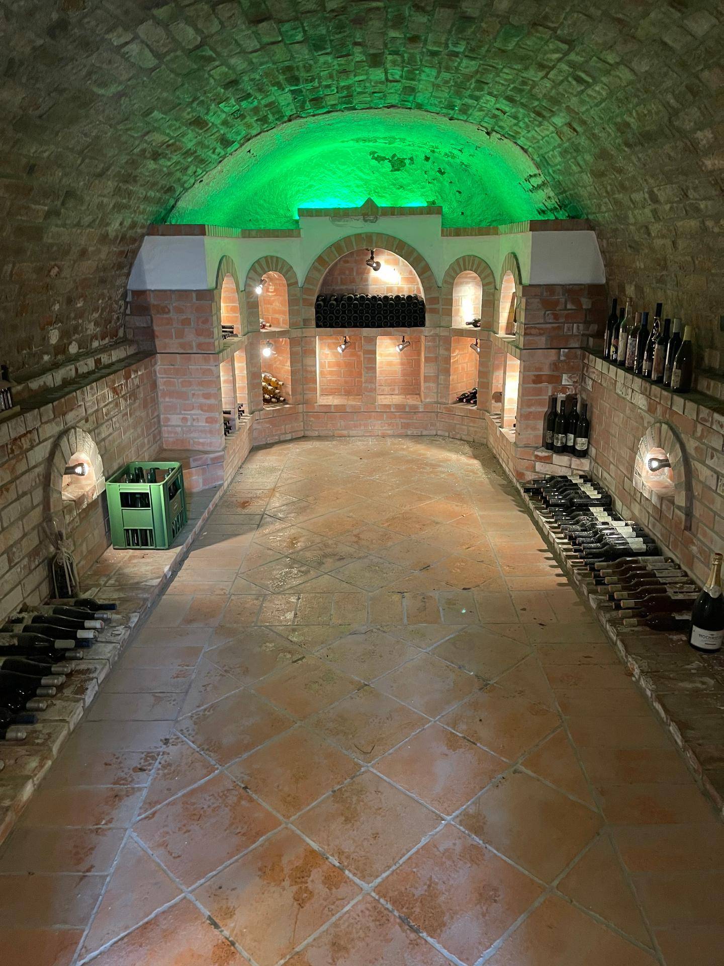 Geräumiger Weinkeller mit Ziegelgewölbe, Terrakottaboden und integrierten Weinregalen, stimmungsvoll beleuchtet.