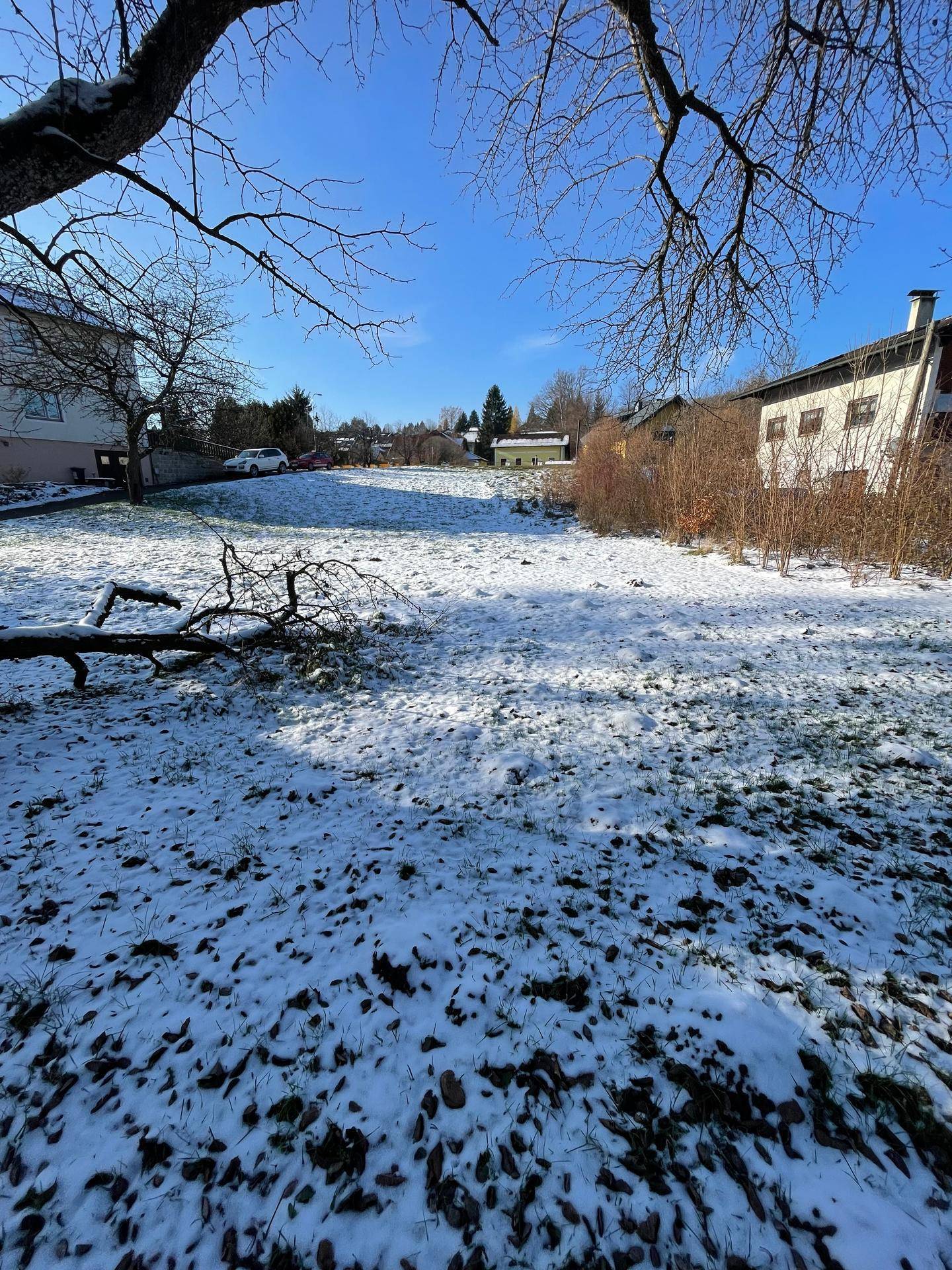Winterlicher Garten mit einem großen Baum, einem abgebrochenen Ast und schneebedecktem Rasen.
