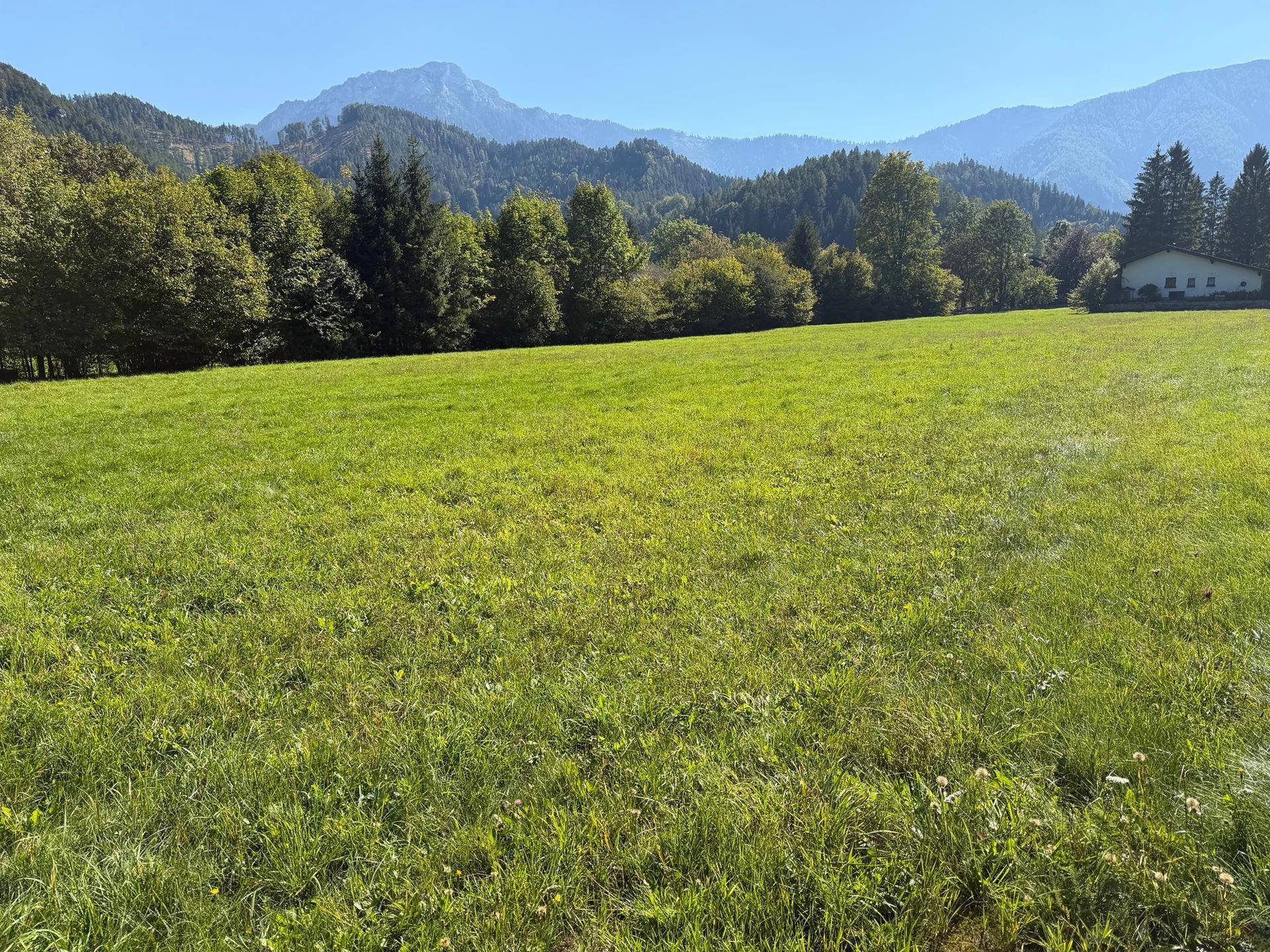 Ein Paradies für Pferde- &amp; Naturliebhaber - Über 1,2 Hektar Grünland in Kernhof - Ansicht 5