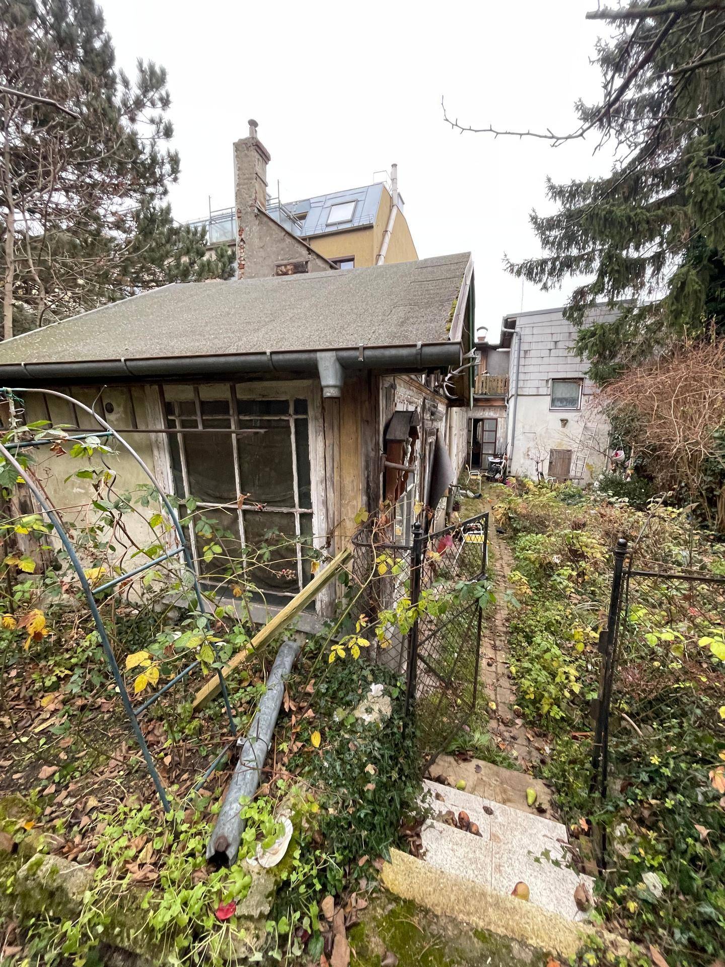 Verwilderter Gartenbereich mit einem schmalen Pfad und alten Gebäudeteilen, umgeben von dichter Vegetation.