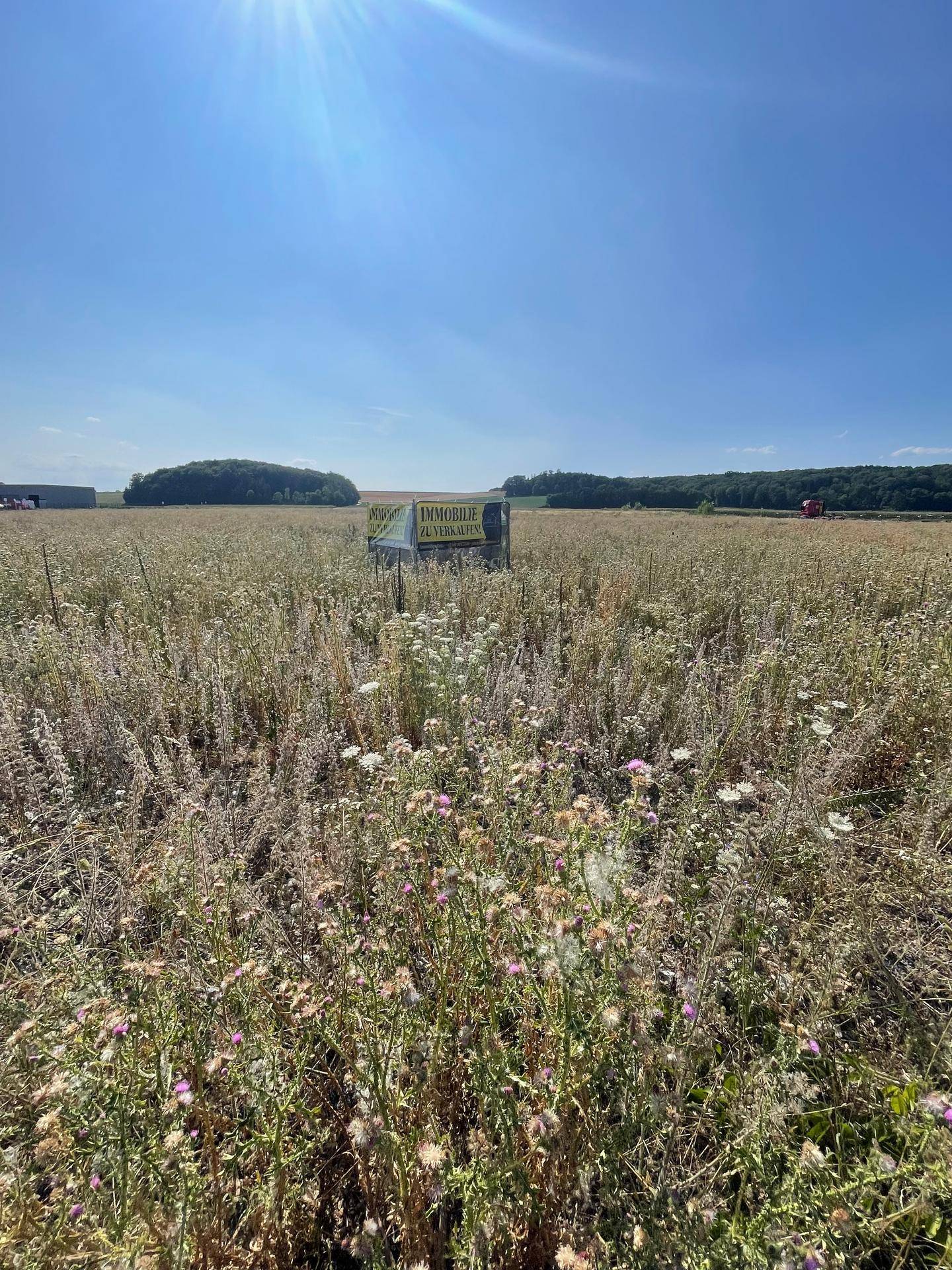 Panoramablick auf ein Feld mit Wildblumen und einem "Immobilie zu verkaufen!" Schild an einem sonnigen Tag.