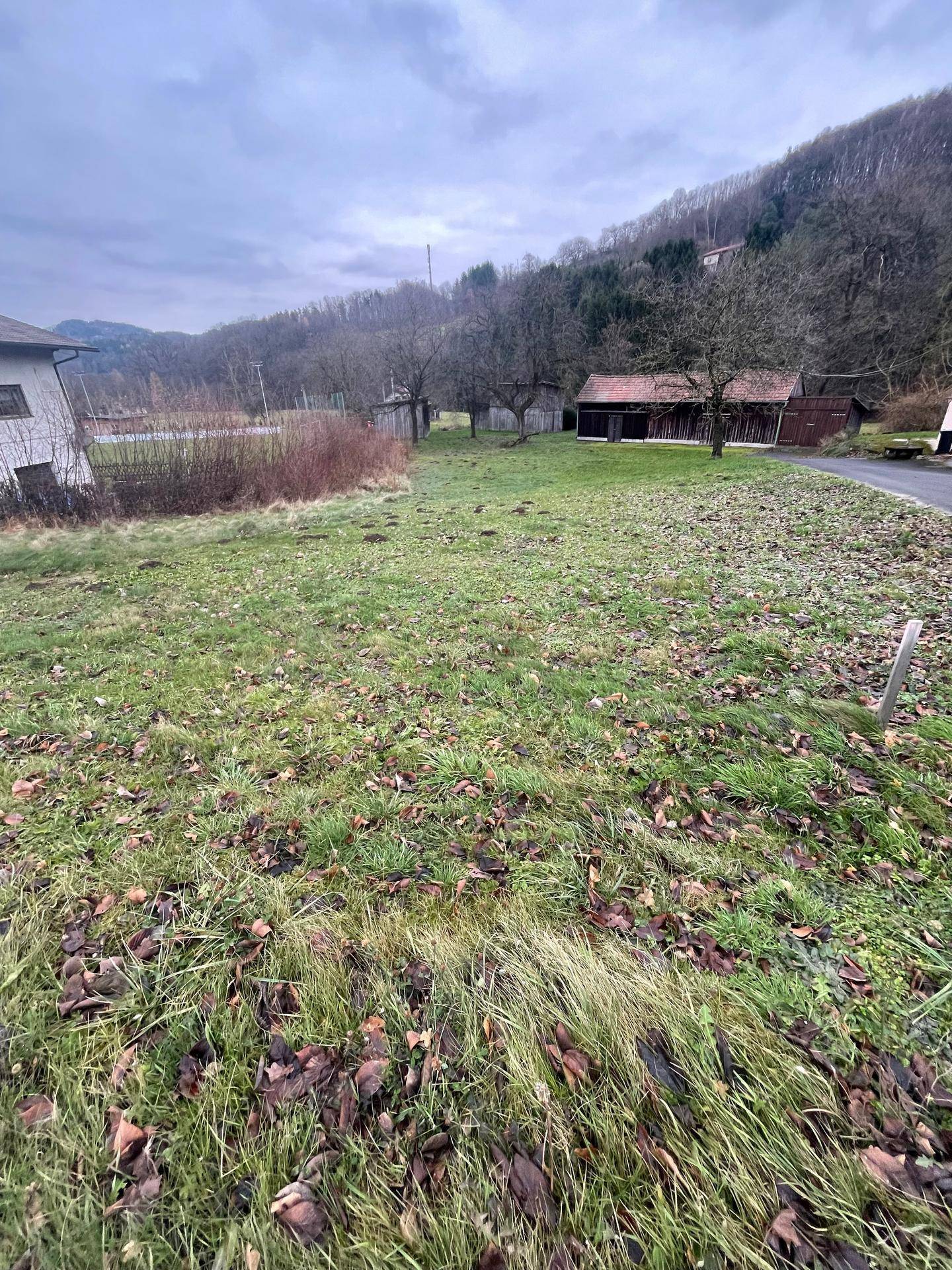 Grüne Wiese mit Herbstlaub und einem Gebäude im Hintergrund unter bewölktem Himmel.