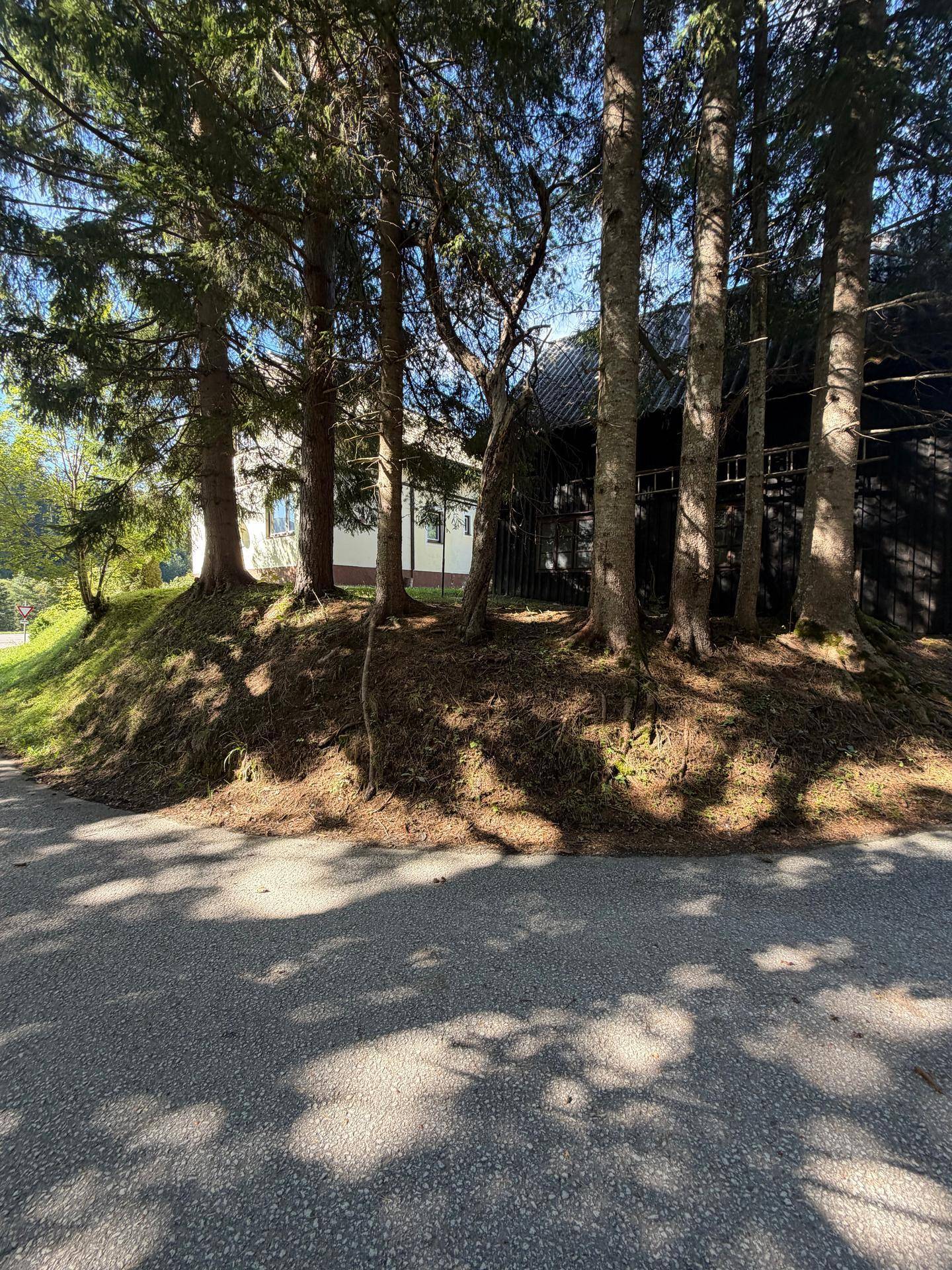 Hohe Bäume spenden Schatten auf dem Grundstück mit Blick auf das Haus.