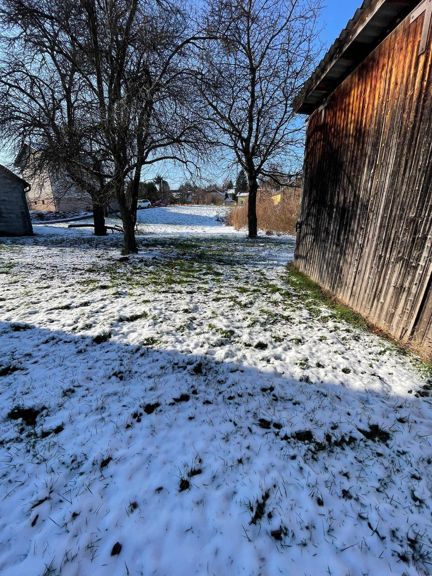 Schneebedeckter Gartenbereich neben einem Holzschuppen mit kahlen Bäumen und sonnigem Wetter.